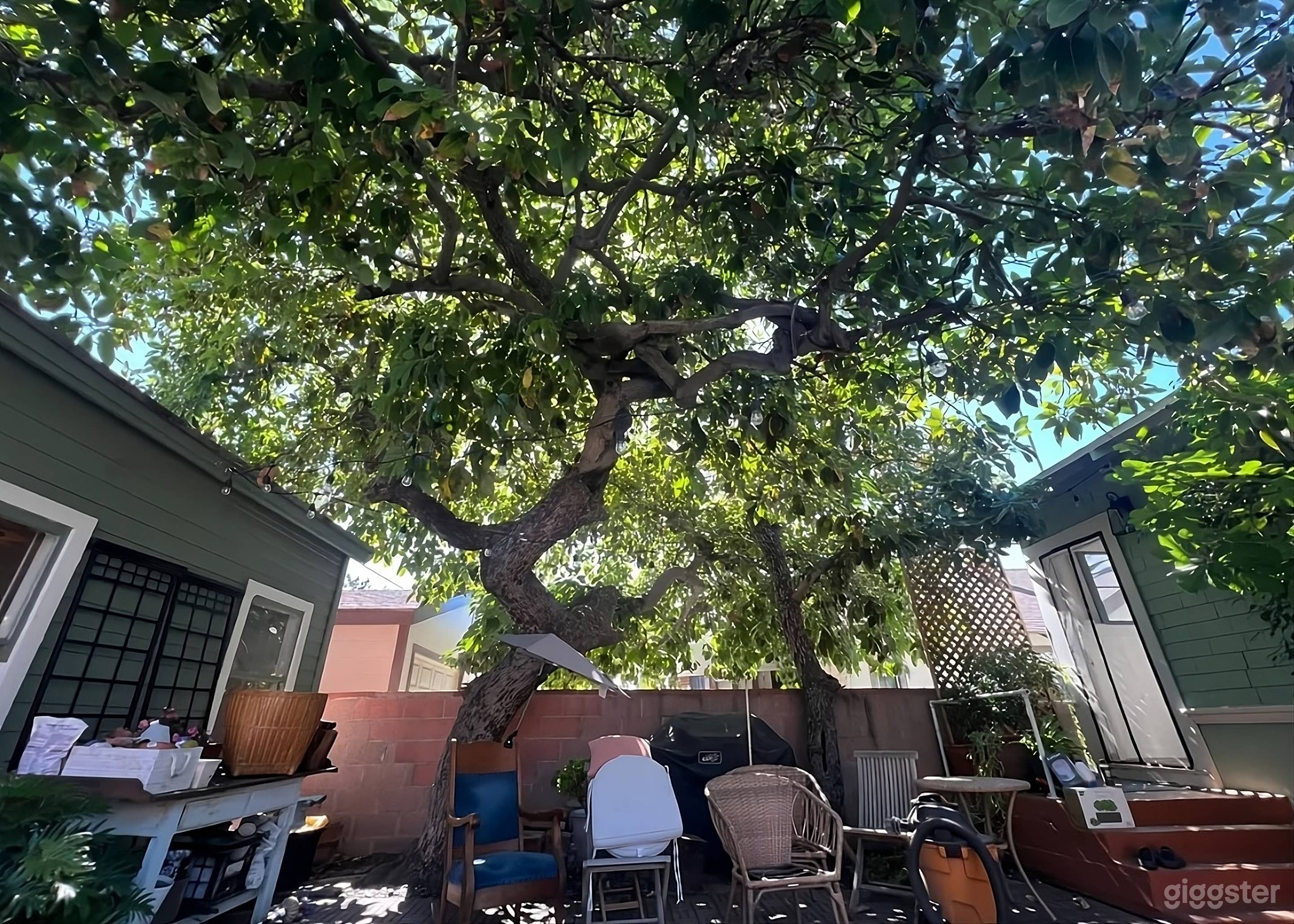 Private and Shaded Backyard Photo 3