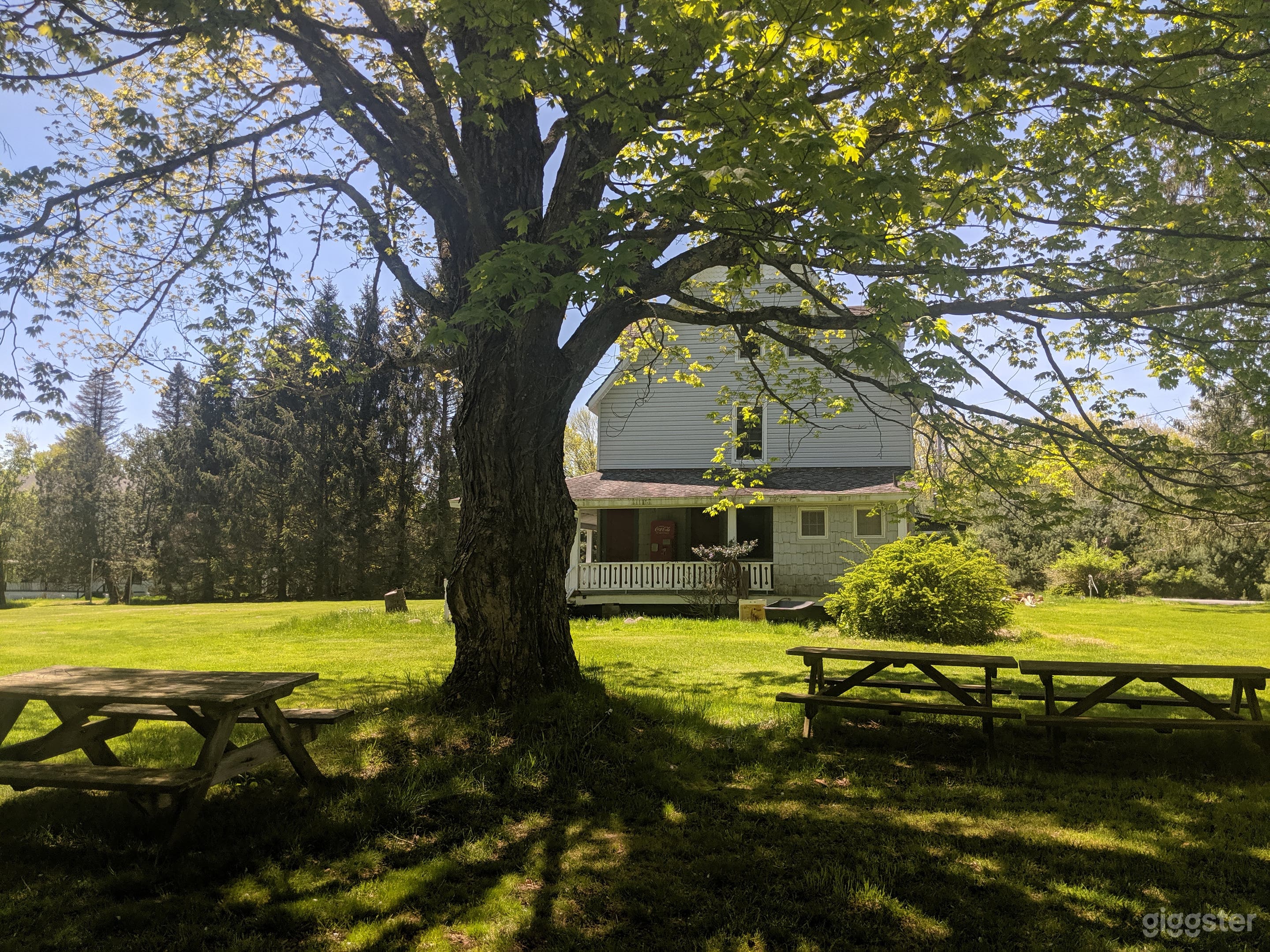 SIde view of boarding house and oak tree