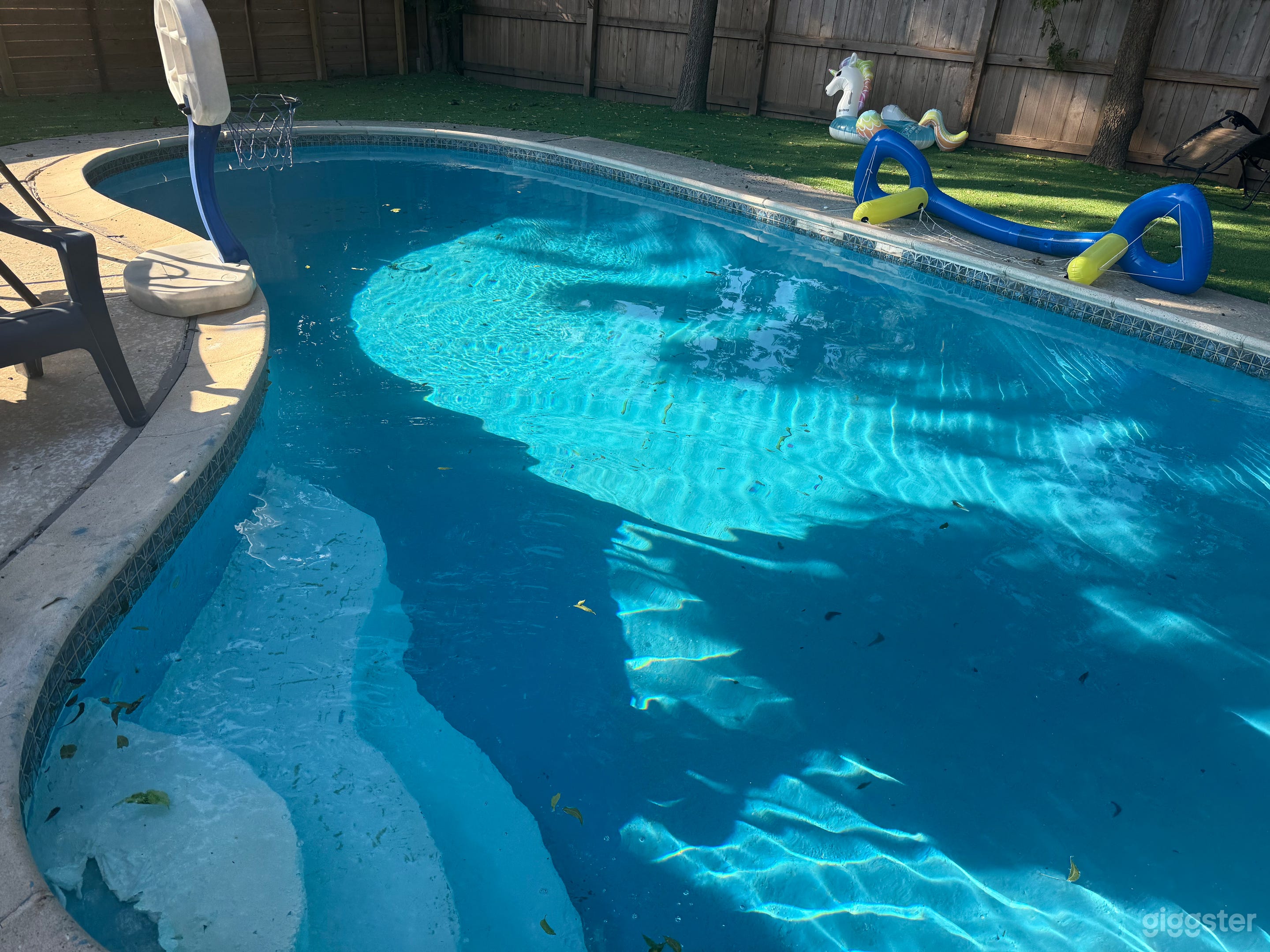 Stylish and Cozy Backyard Pool Photo 4
