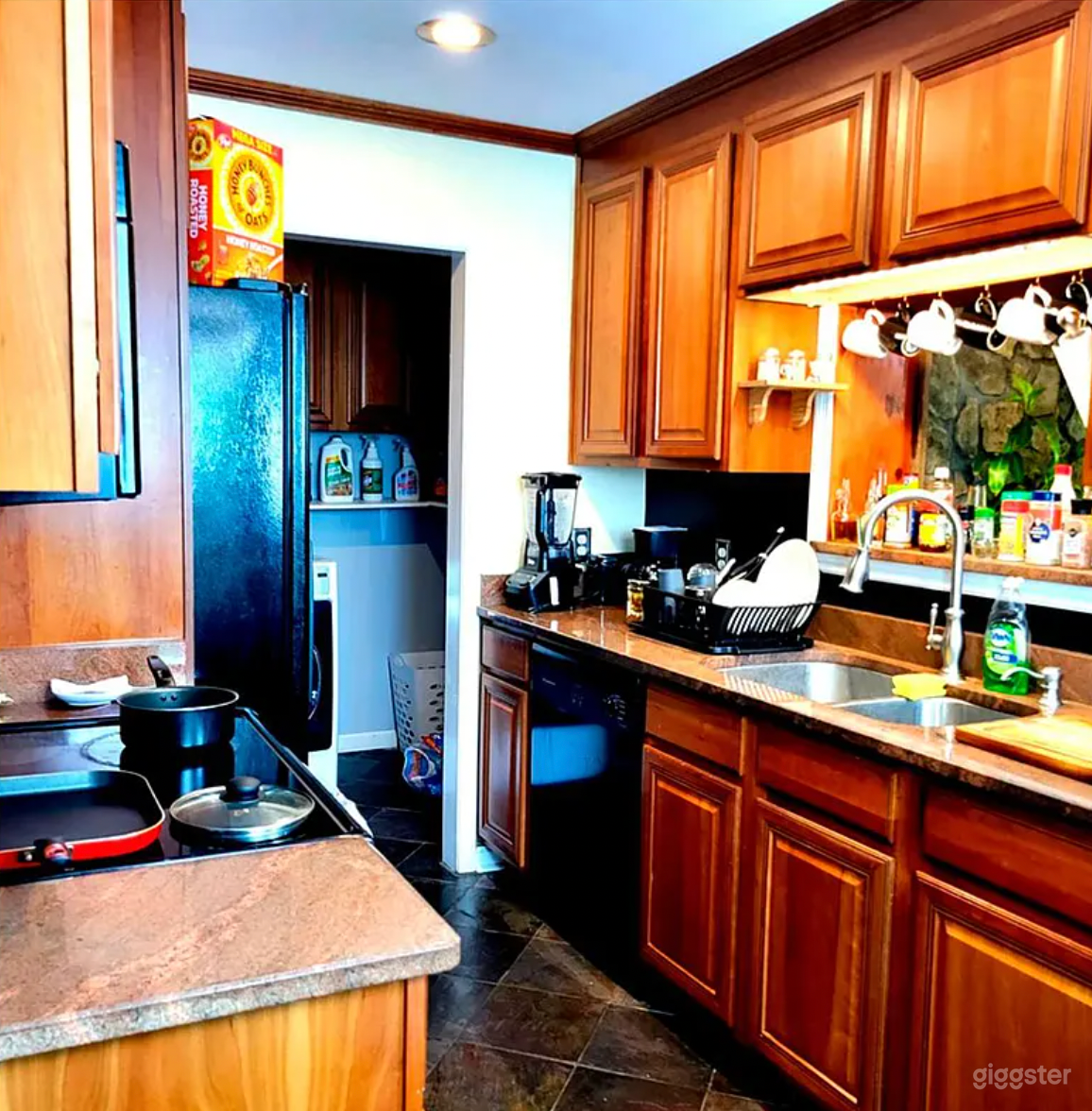 Nashville Nature Contact Photo 3