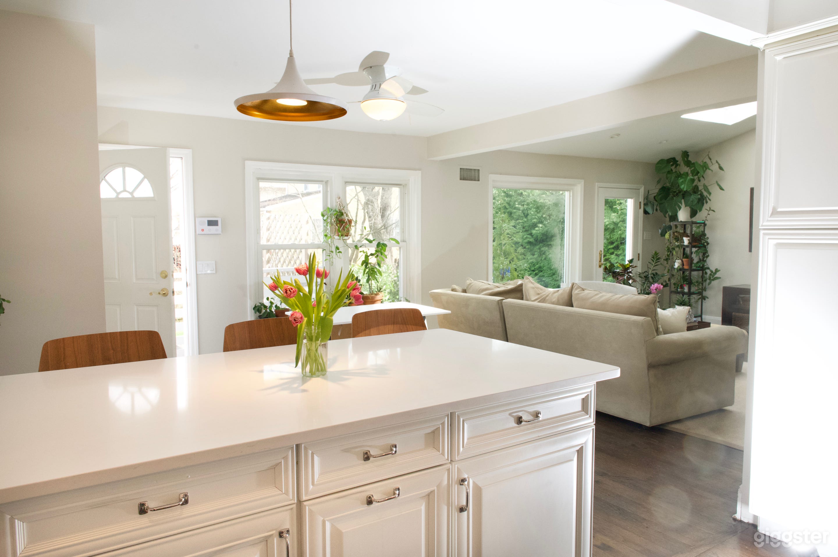 Private House, Bright, Beautiful, Natural Light Photo 1