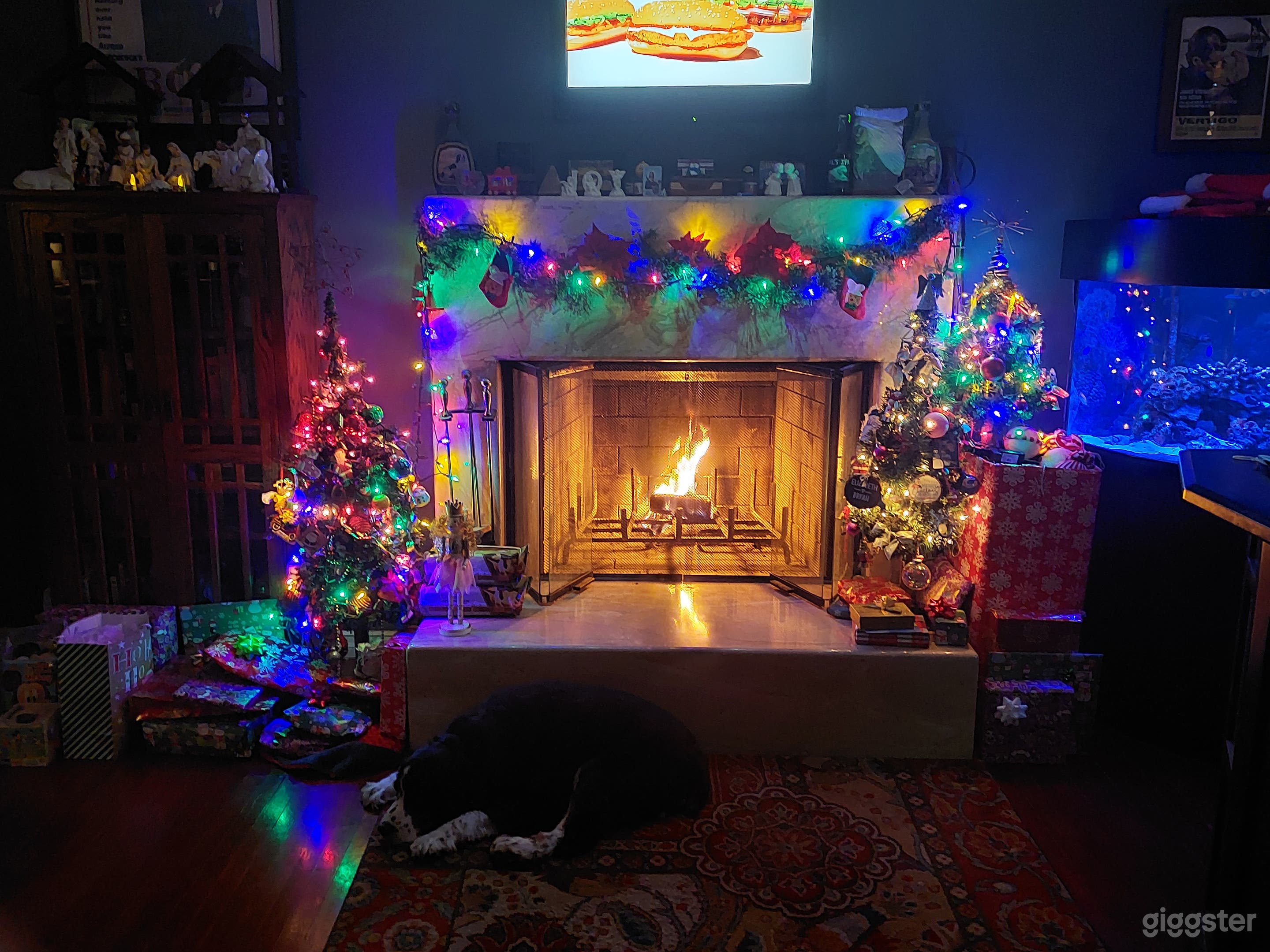 Lovely Lake Balboa Cottage big yard ready now! Photo 1