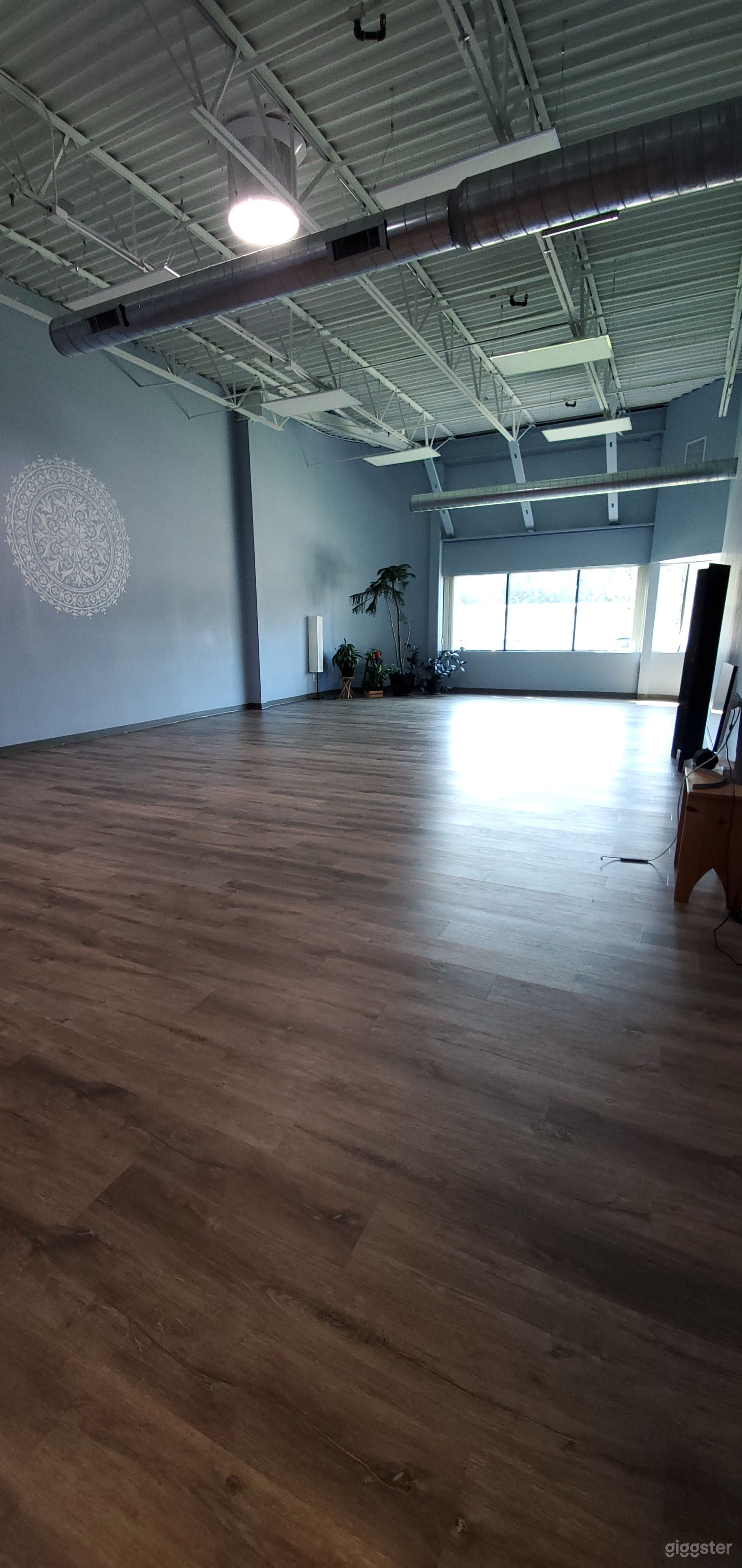 South Facing Window Spacious Studio Photo 4