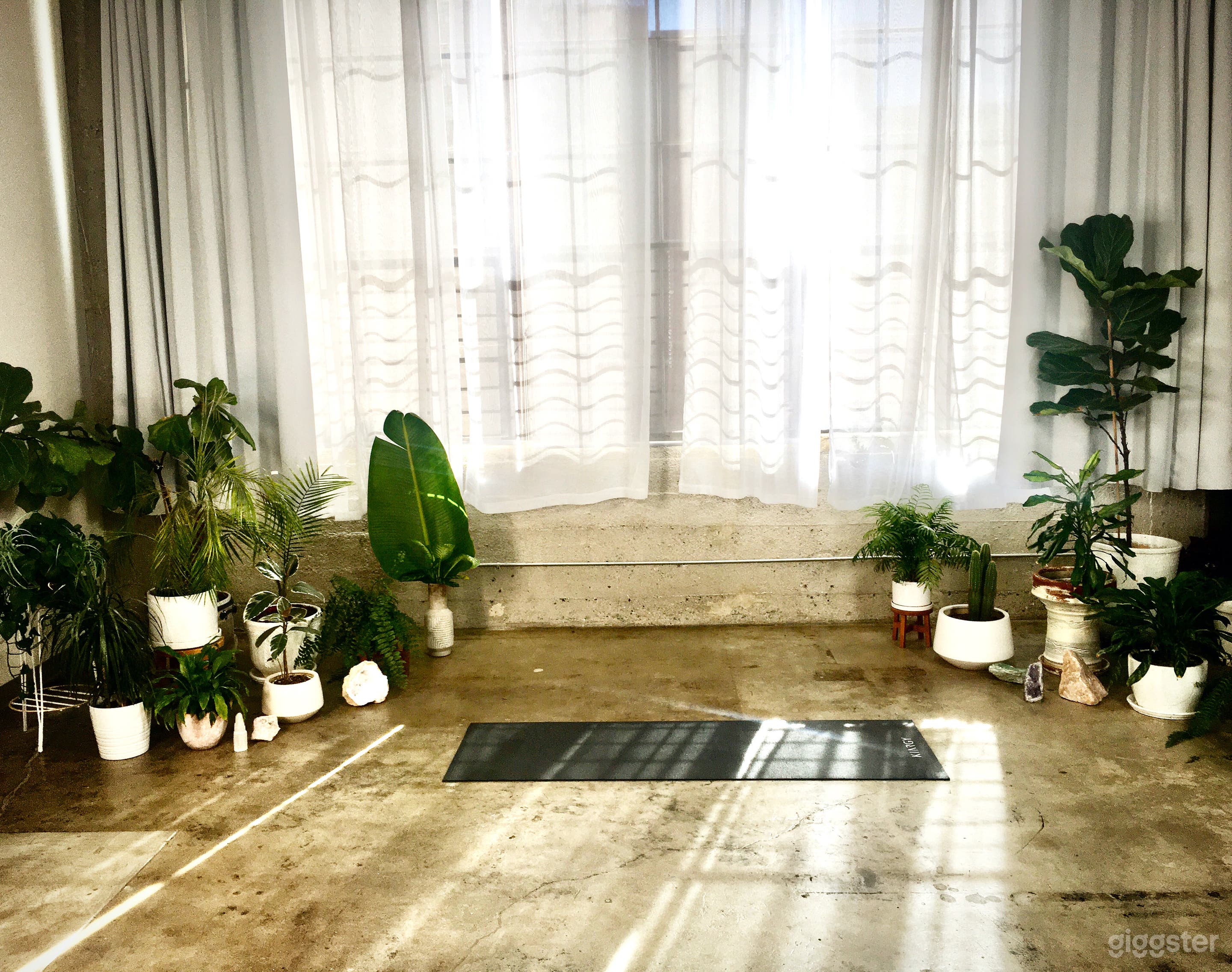 Artist Loft, Gallery, Holistic Healing Space Photo 2