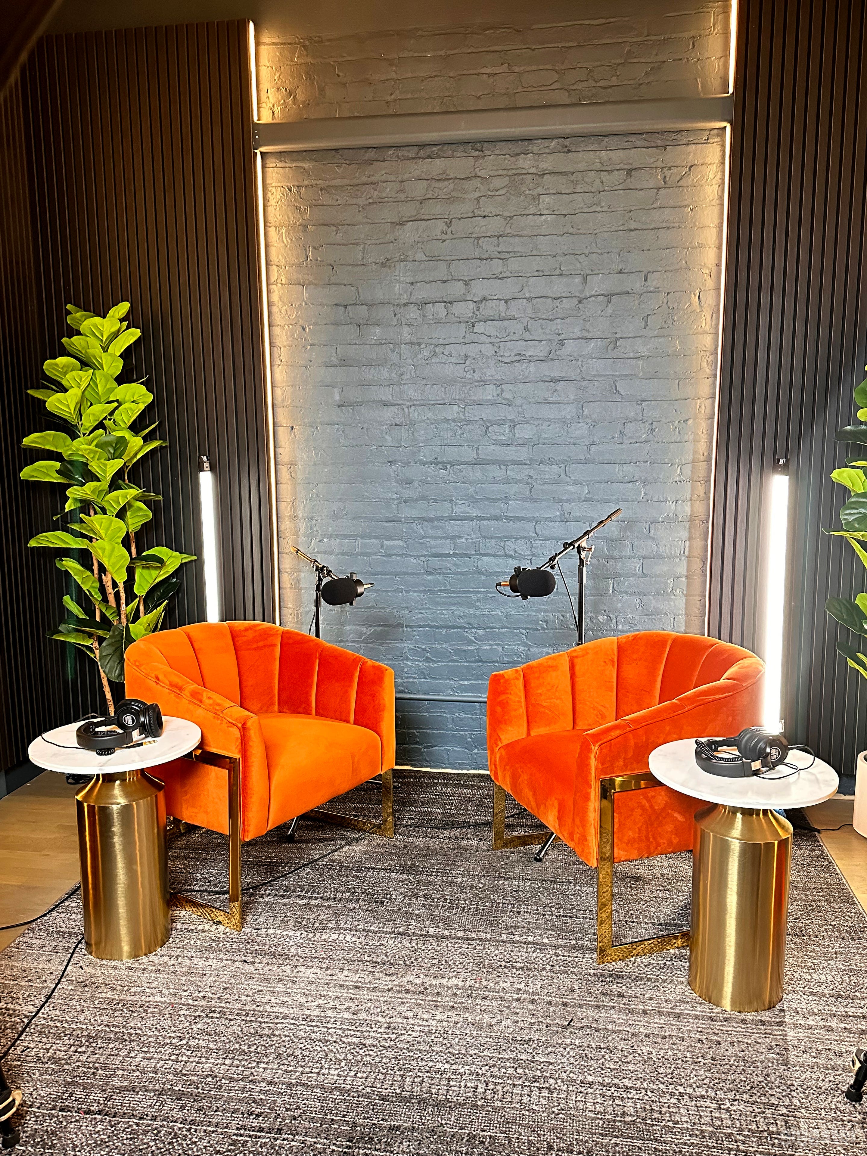 Ideal for voiceover recording