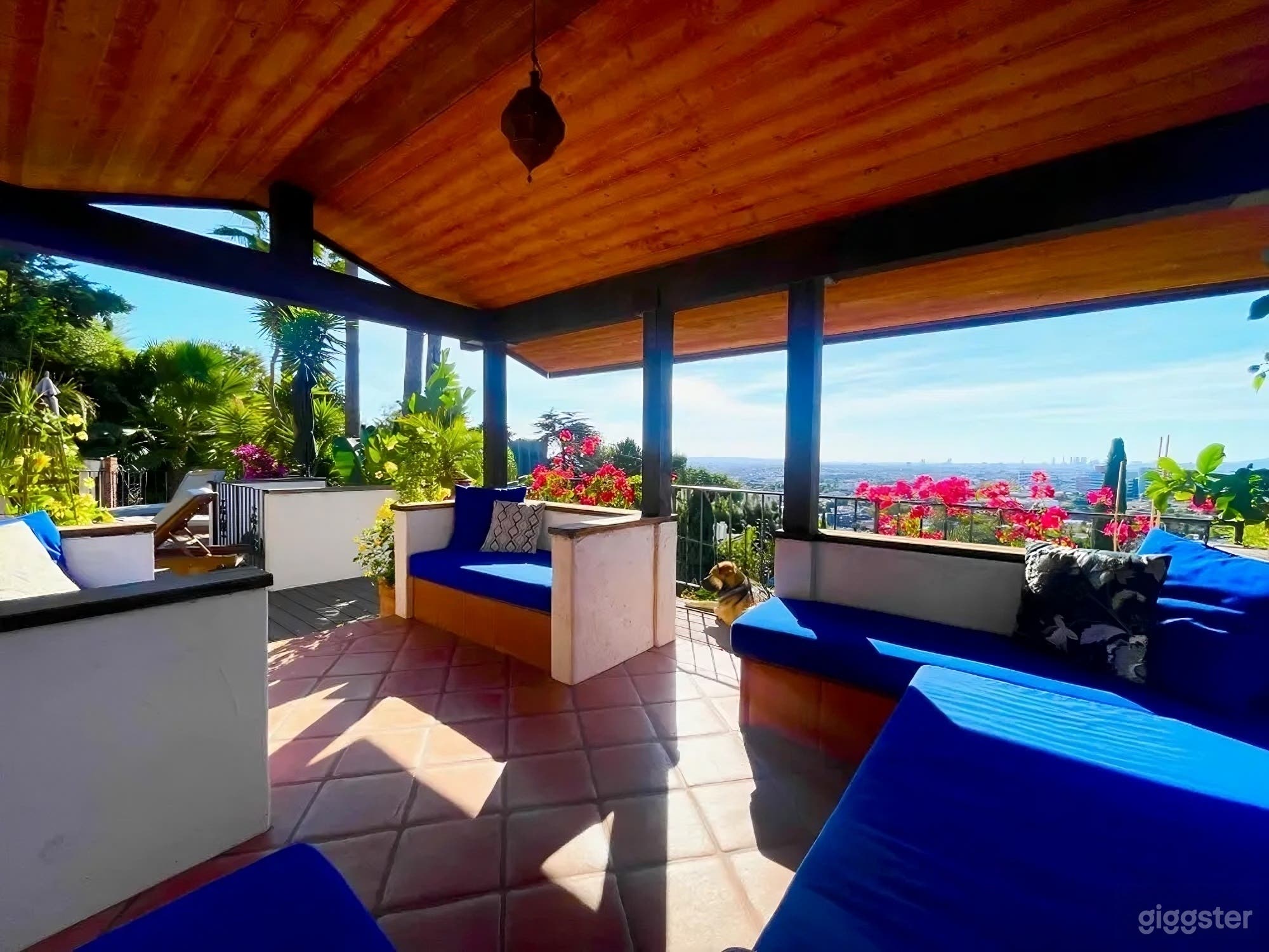 Backyard Hilltop with City Views Photo 3