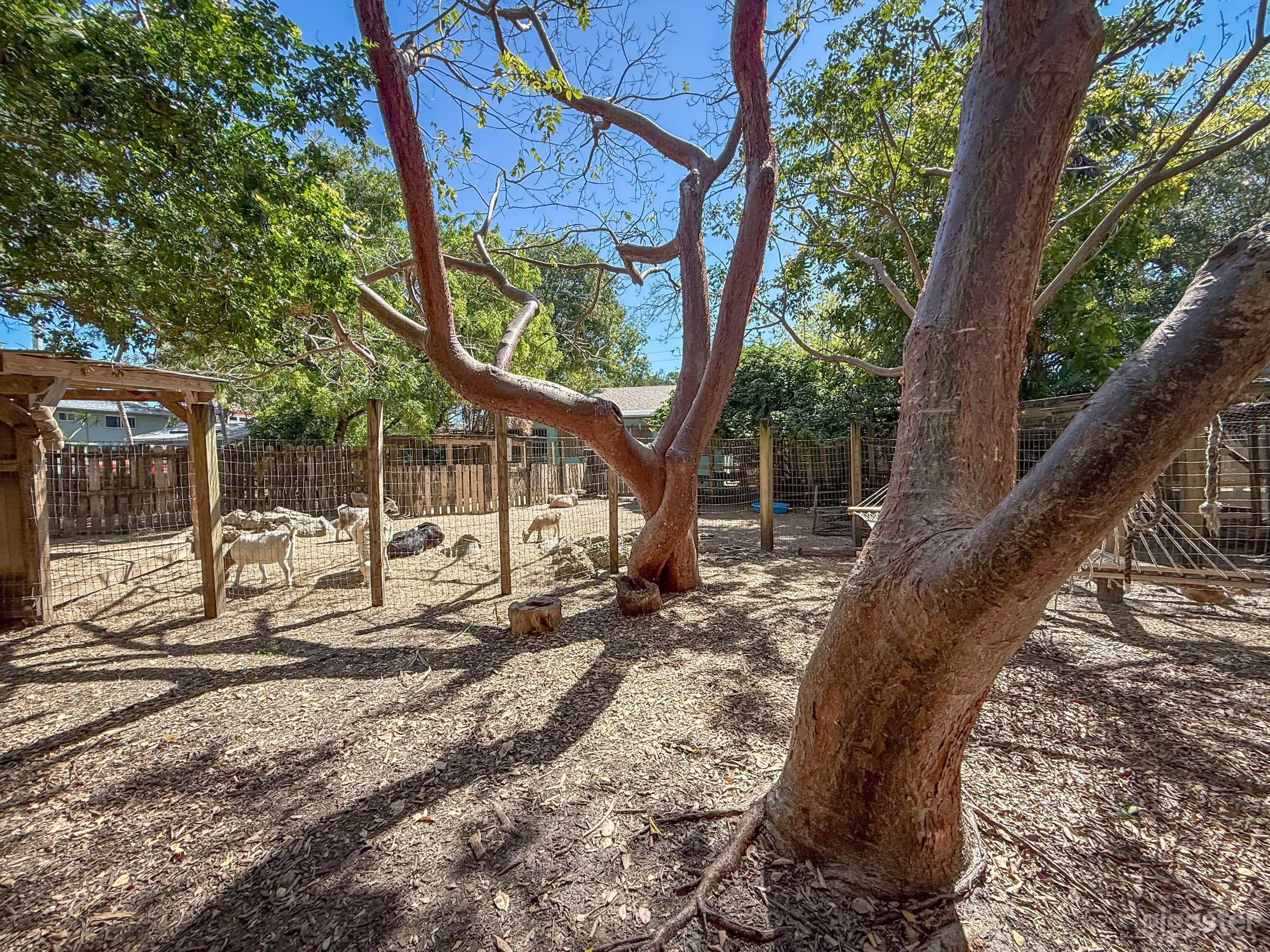 Nature-Filled Farm &amp; Animal Sanctuary Photo 4