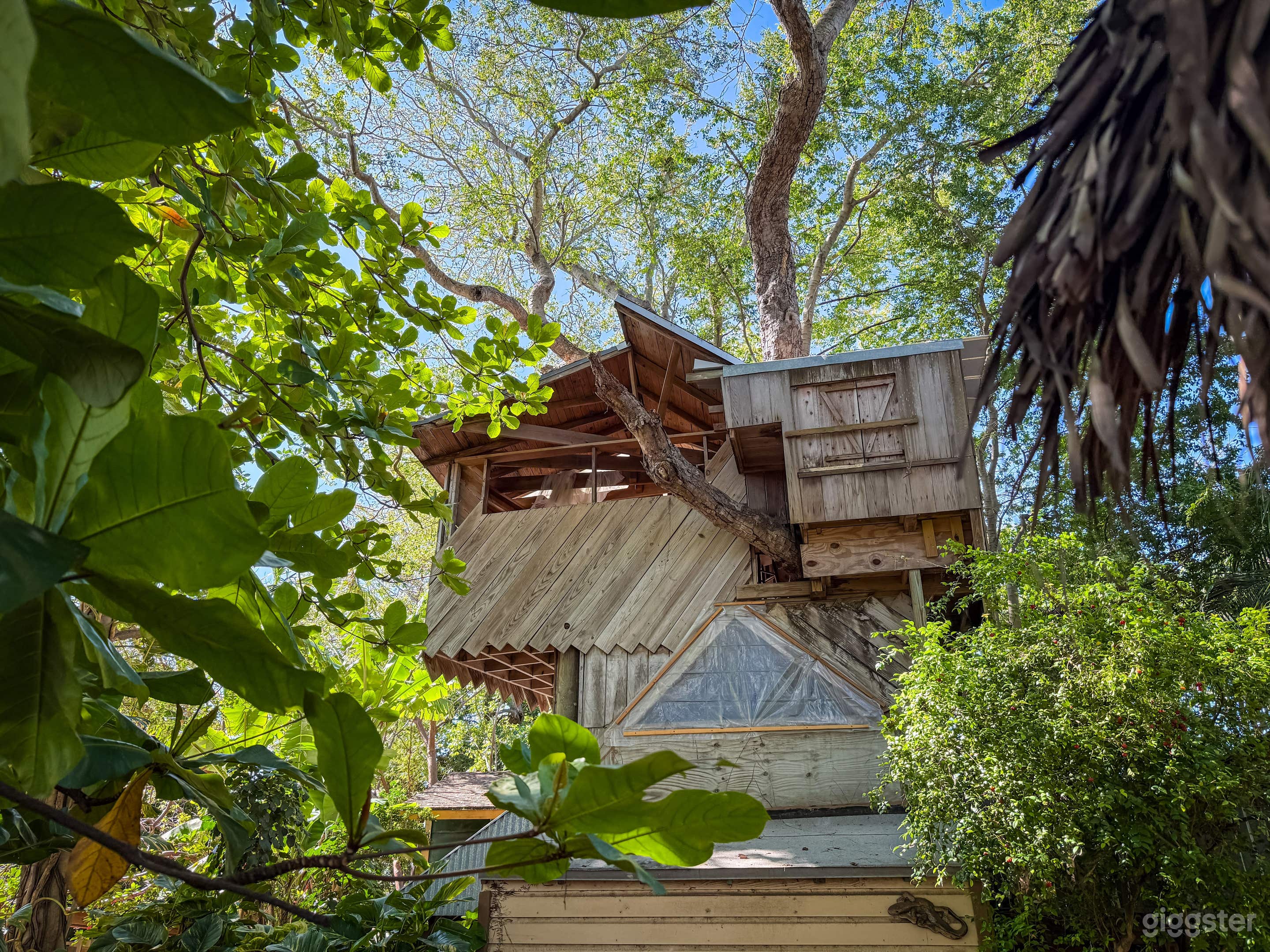 Nature-Filled Farm &amp; Animal Sanctuary Photo 2