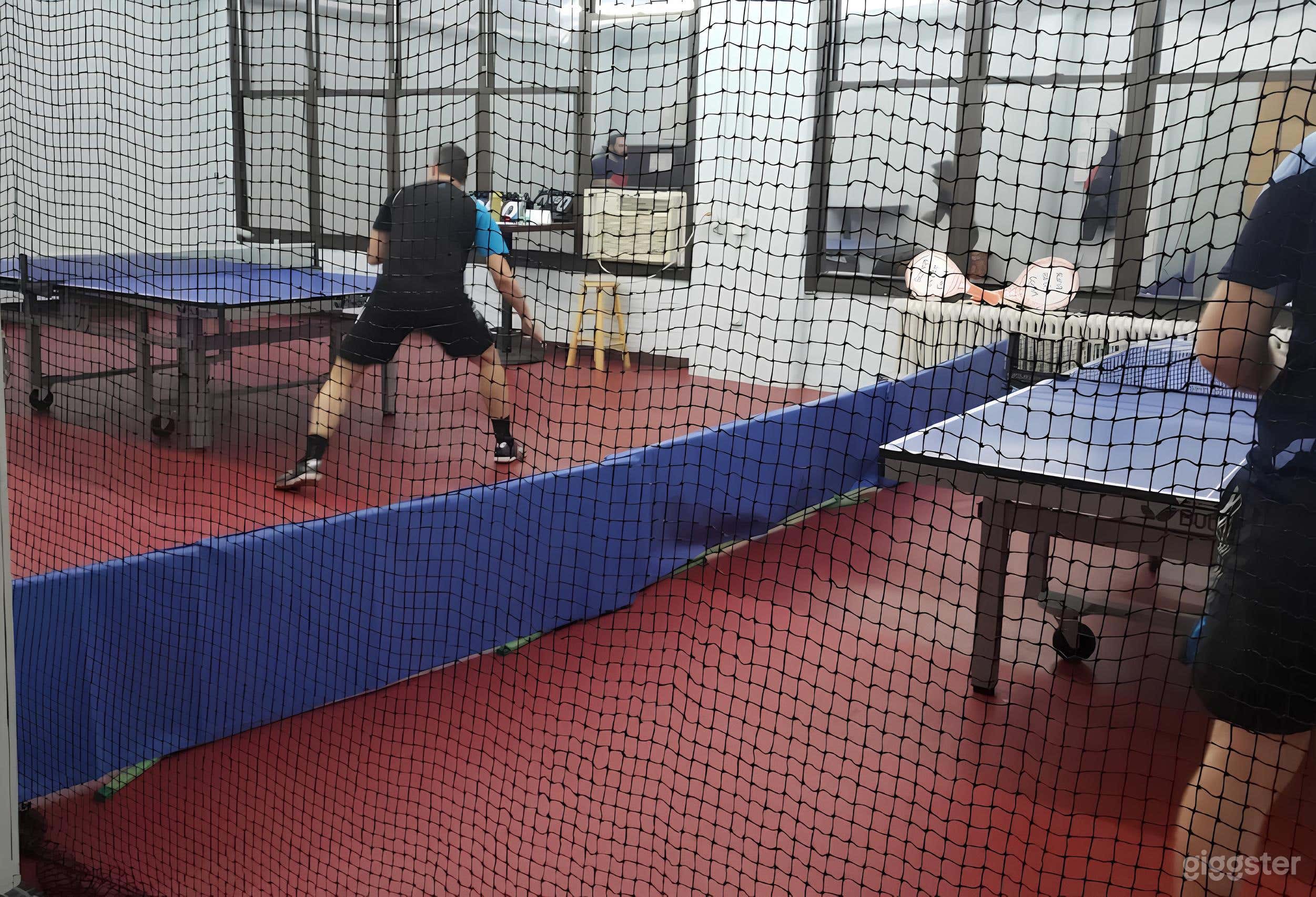 Ping Pong, Elevated – Ping Pong Tables Photo 3