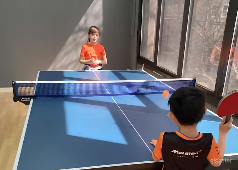  Ping Pong, Elevated – Ping Pong Tables 
