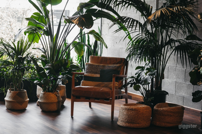  Beautiful Studio Event Space w/ Natural Light 