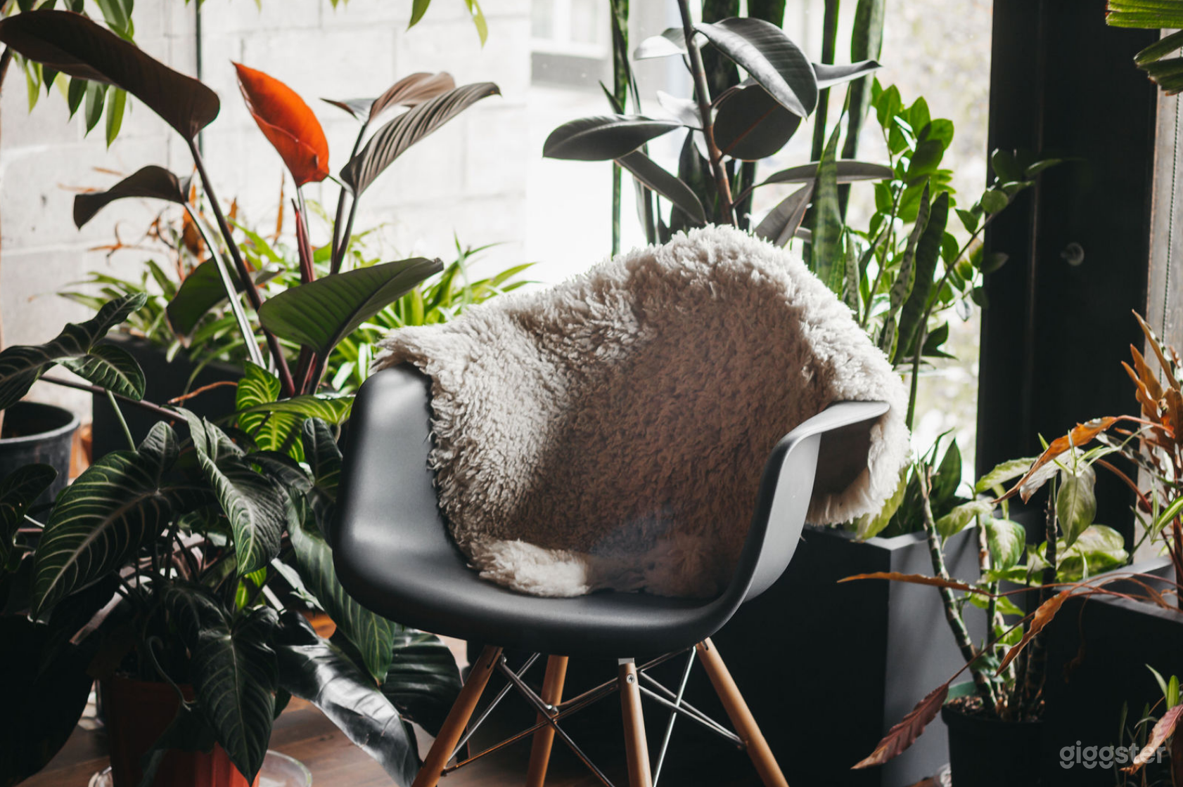 Beautiful Studio Event Space w/ Natural Light Photo 4