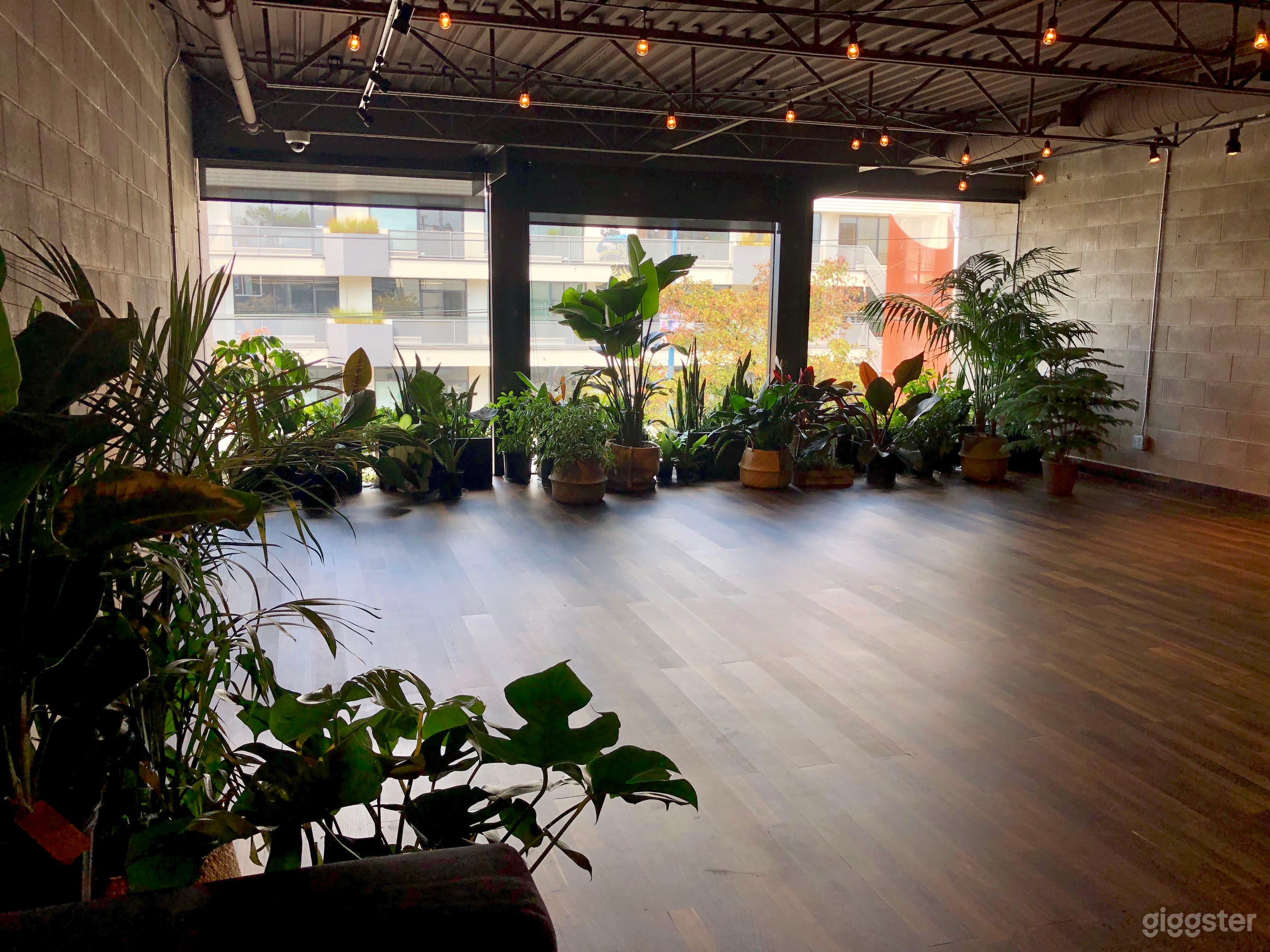 Beautiful Studio Event Space w/ Natural Light Photo 4