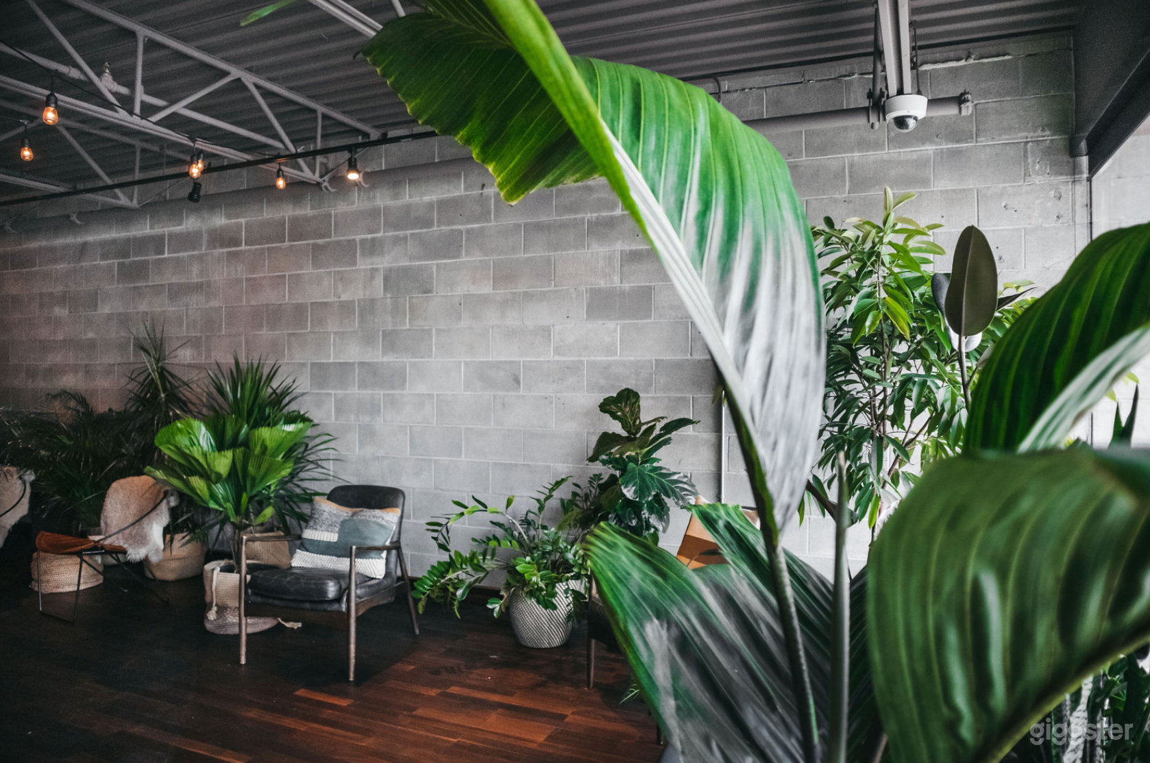 Beautiful Studio Event Space w/ Natural Light Photo 3