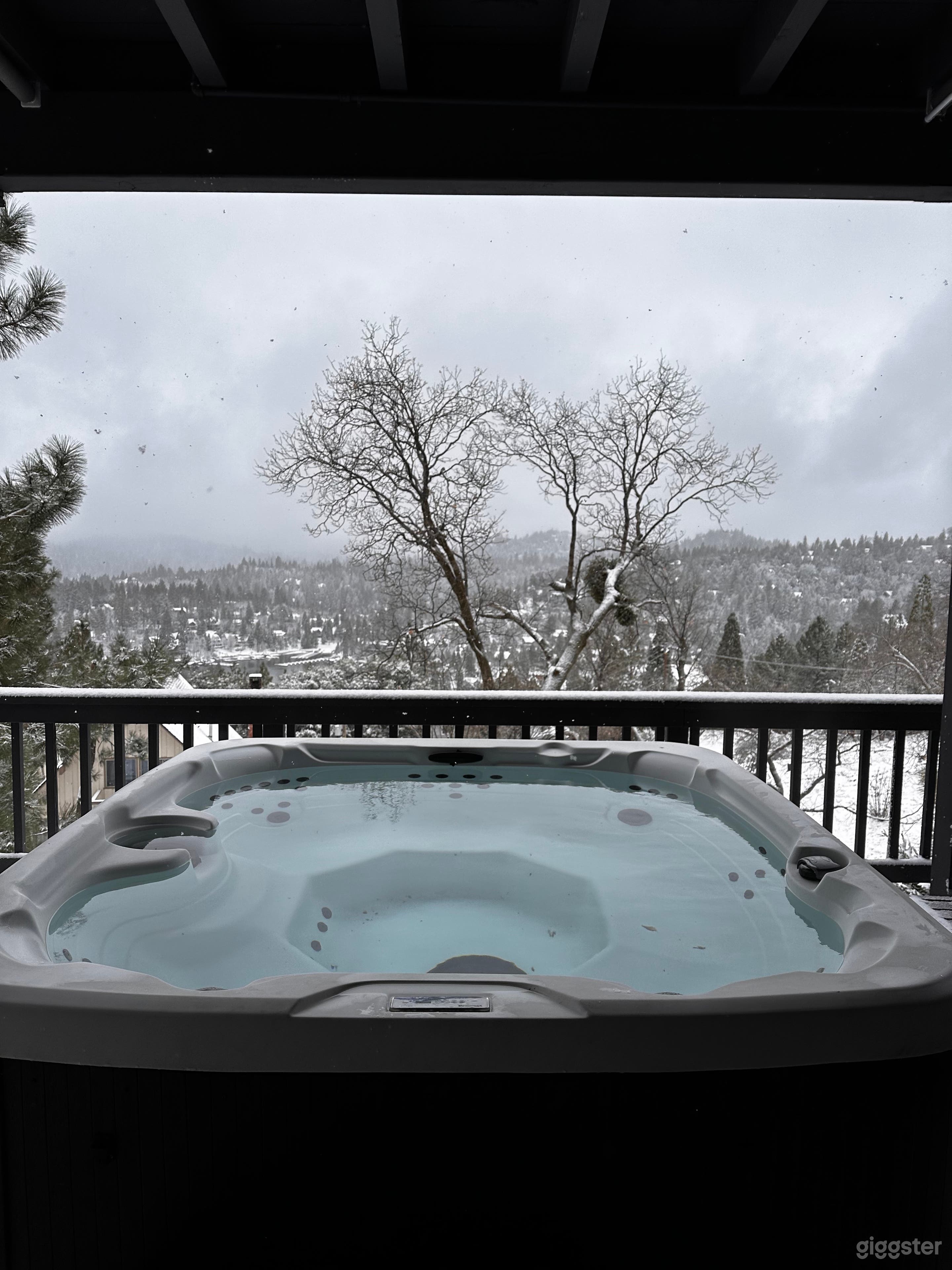 gorgeous lake a treetop views from the hot tub.