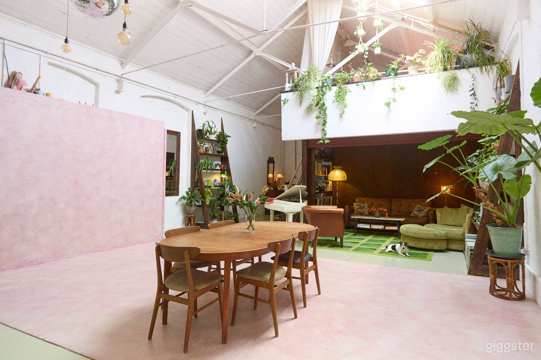 Greenhouse Homely Location filled with Plants Photo 2