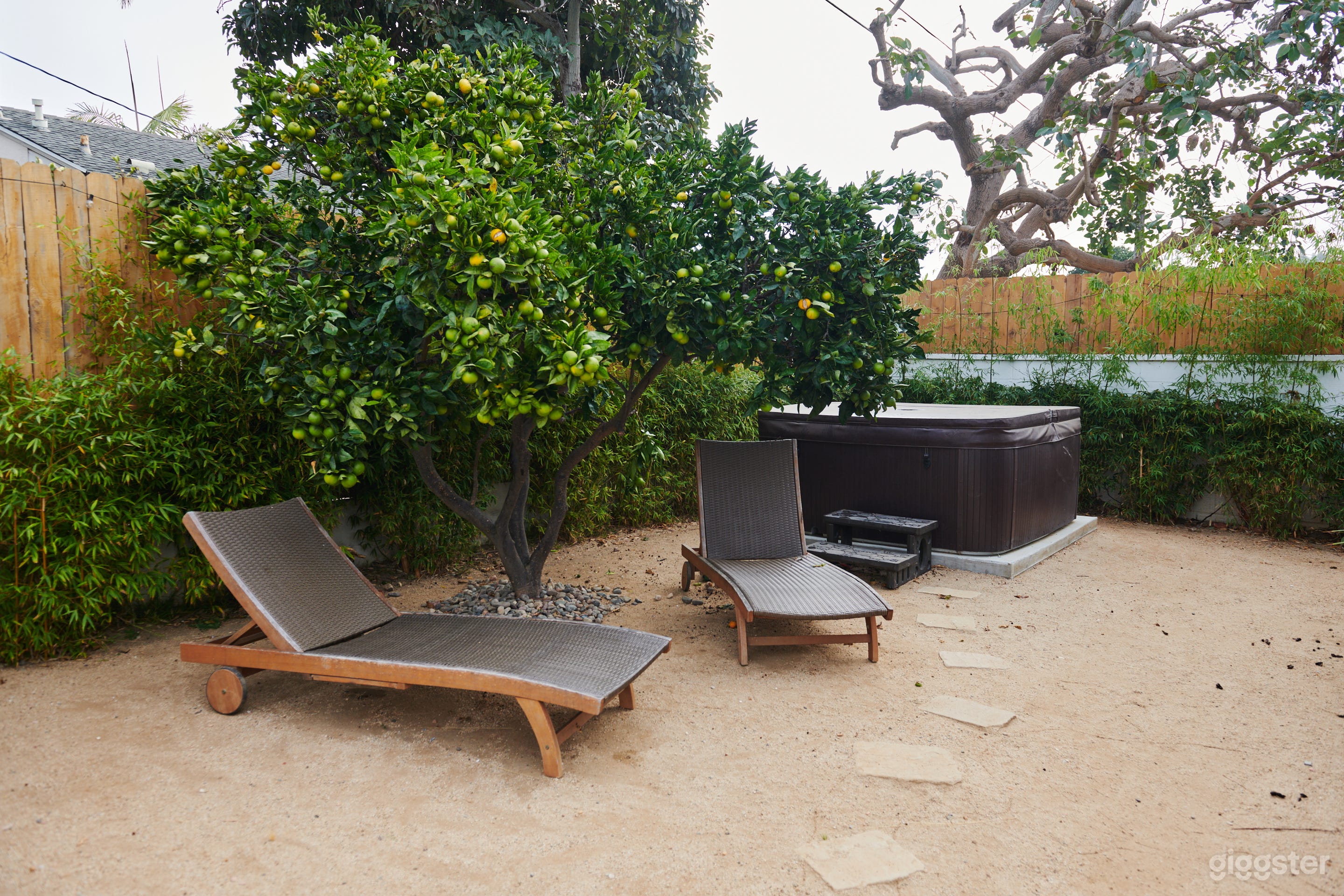 The OWL house Photo 3