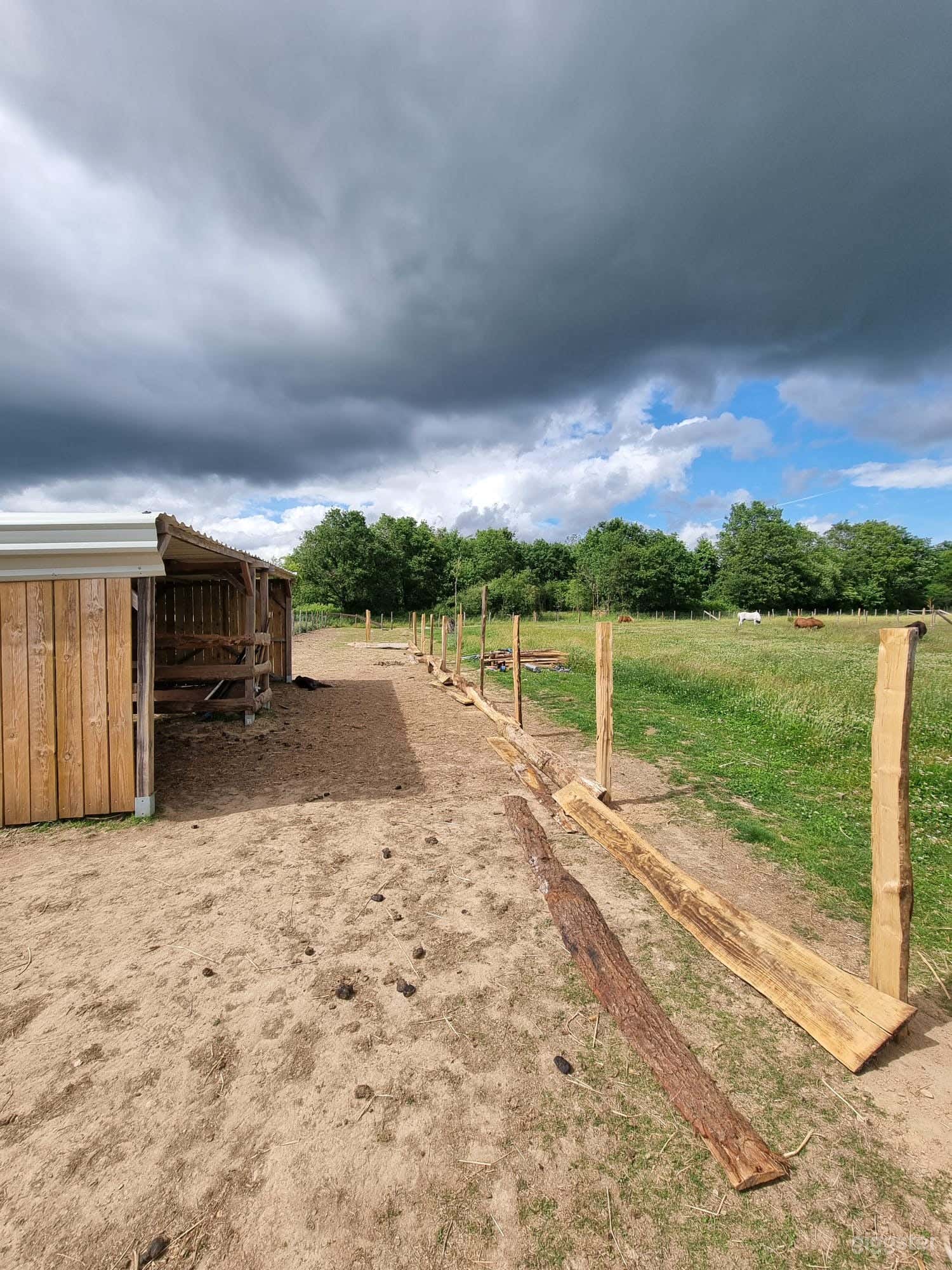 Pour shootings &amp; tournages : Champ naturel avec animaux Photo 3