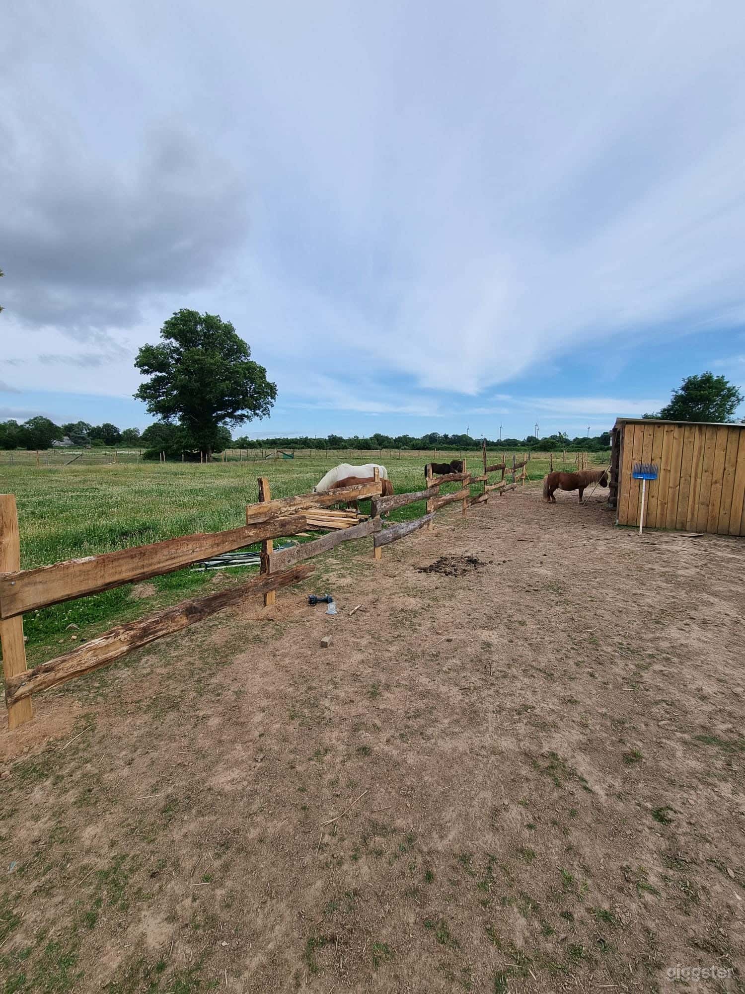 Pour shootings &amp; tournages : Champ naturel avec animaux Photo 2