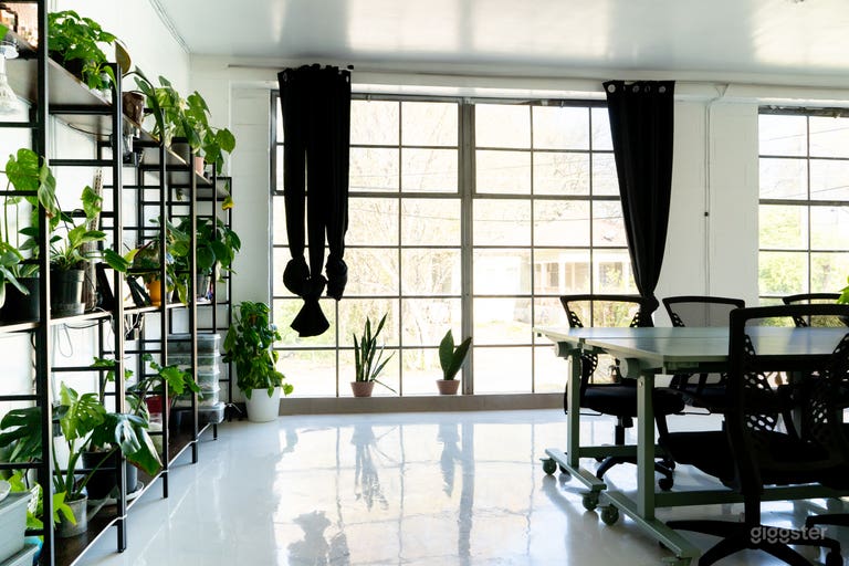  Versatile Plant Studio for Meetings, Classes and Workshop 