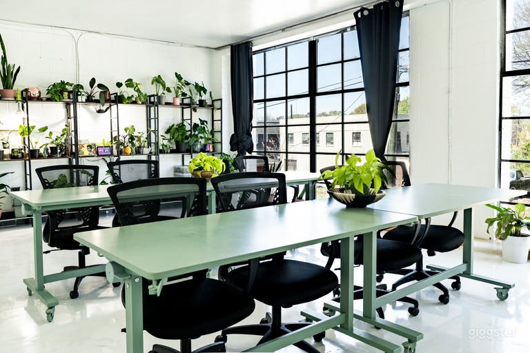  Versatile Plant Studio for Meetings, Classes and Workshop 