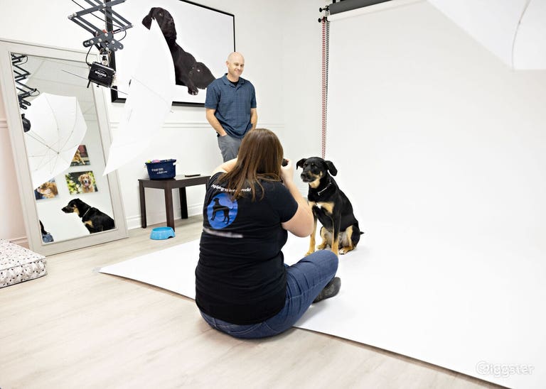 Bright Photo Studio in Rancho Bernardo w/Lights 