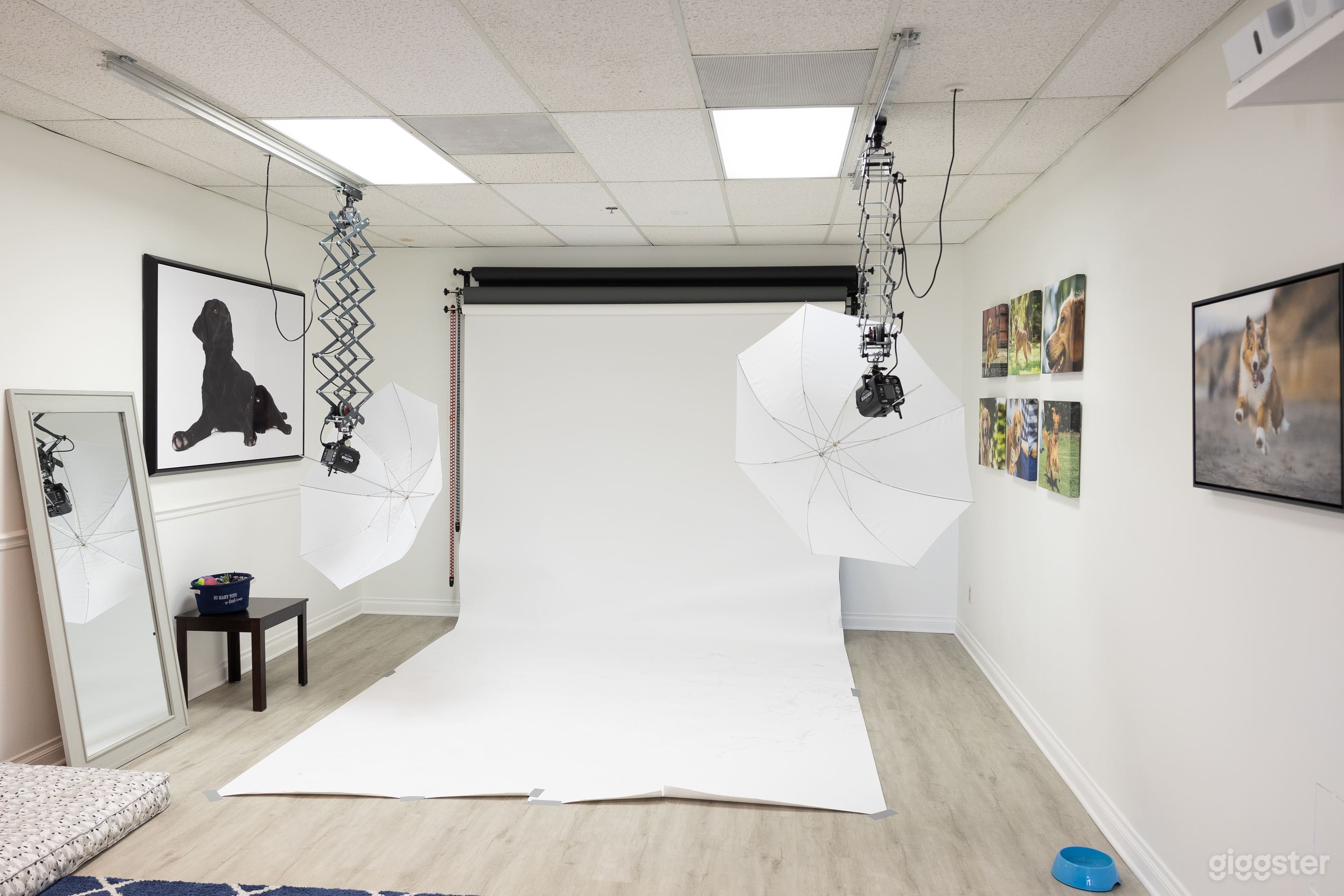 Bright Photo Studio in Rancho Bernardo w/Lights Photo 1