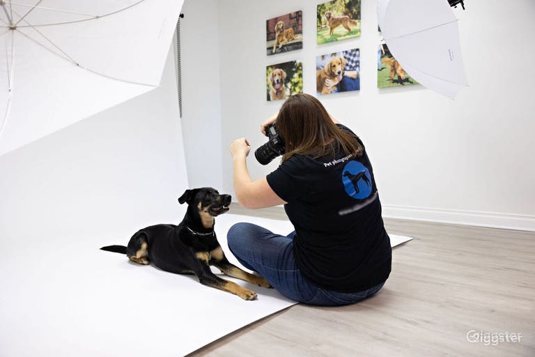  Bright Photo Studio in Rancho Bernardo w/Lights 