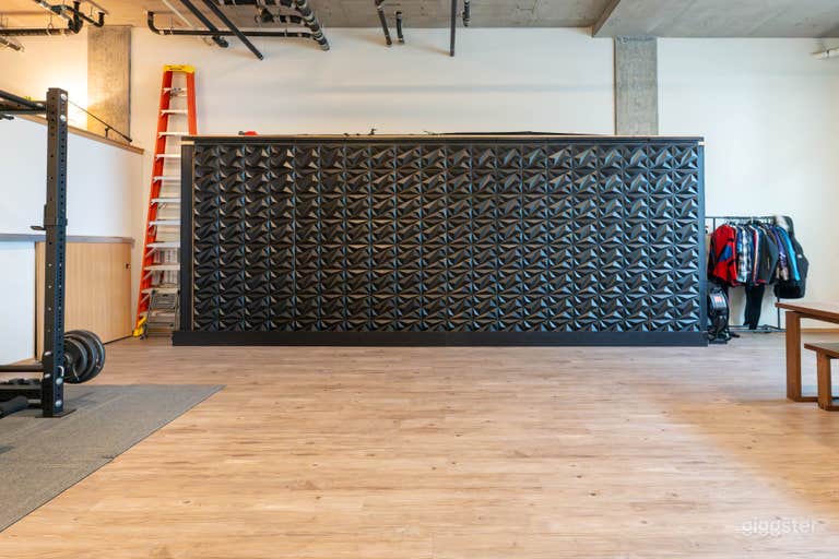  West Seattle Photo Studio with Full Lighting & Backdrop Kit 