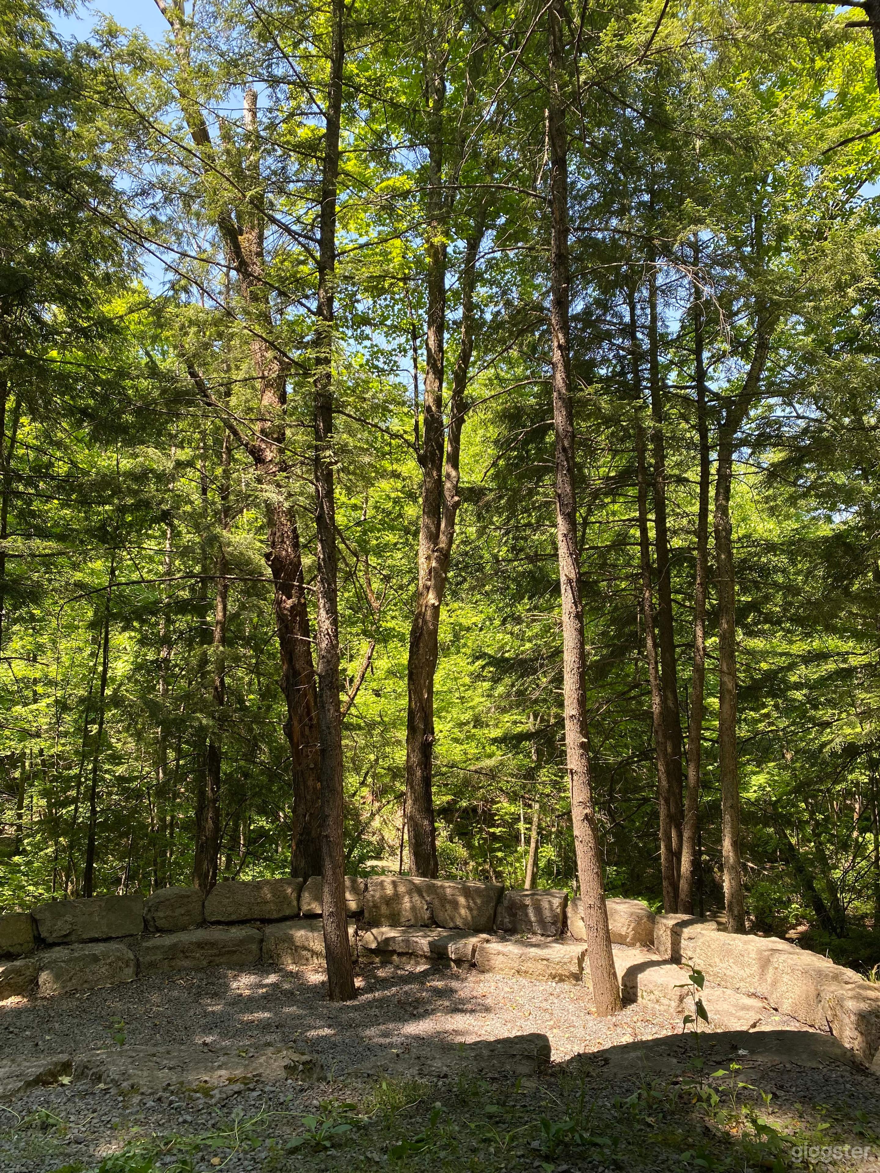 Humanics Institute Sanctuary and Sculpture Park Photo 3