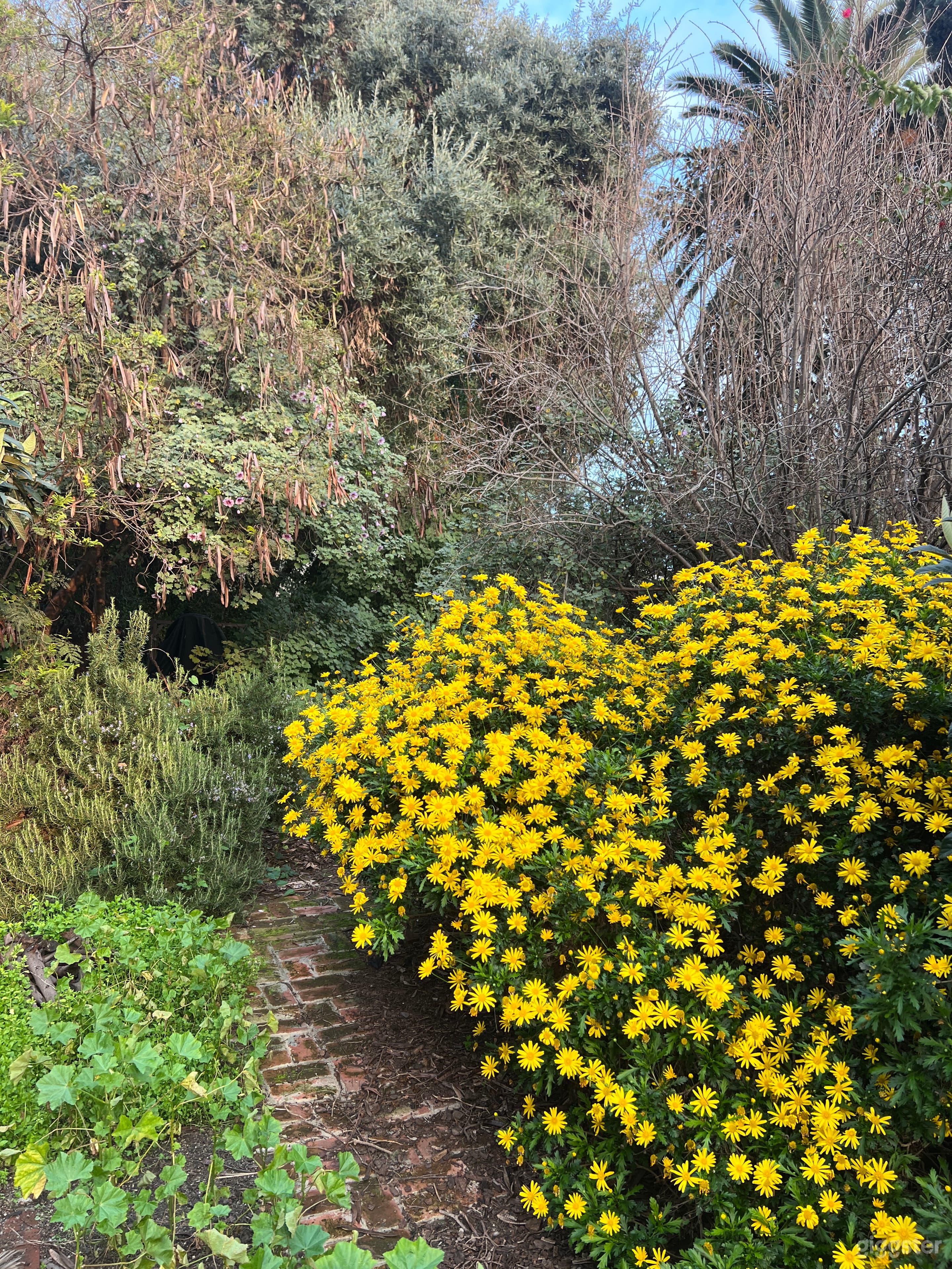 Secret Garden Creative Backyard Photo 4