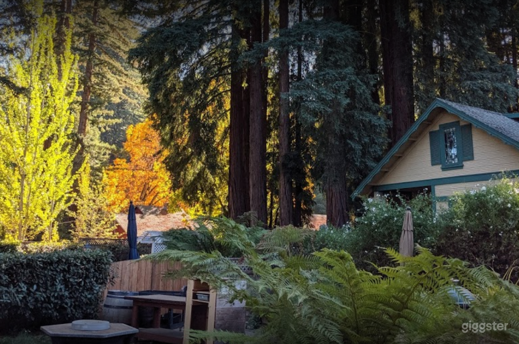 A Charming Restaurant in Felton Photo 2