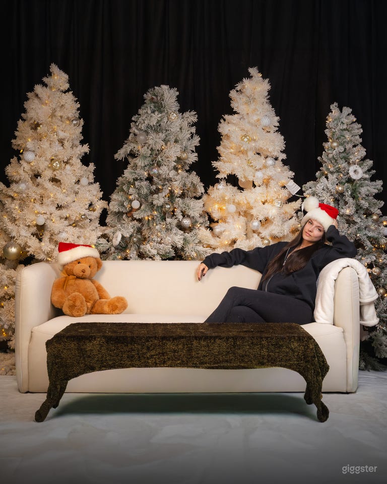  Modern 850 sq ft Photo/Video Studio with CYC Wall 