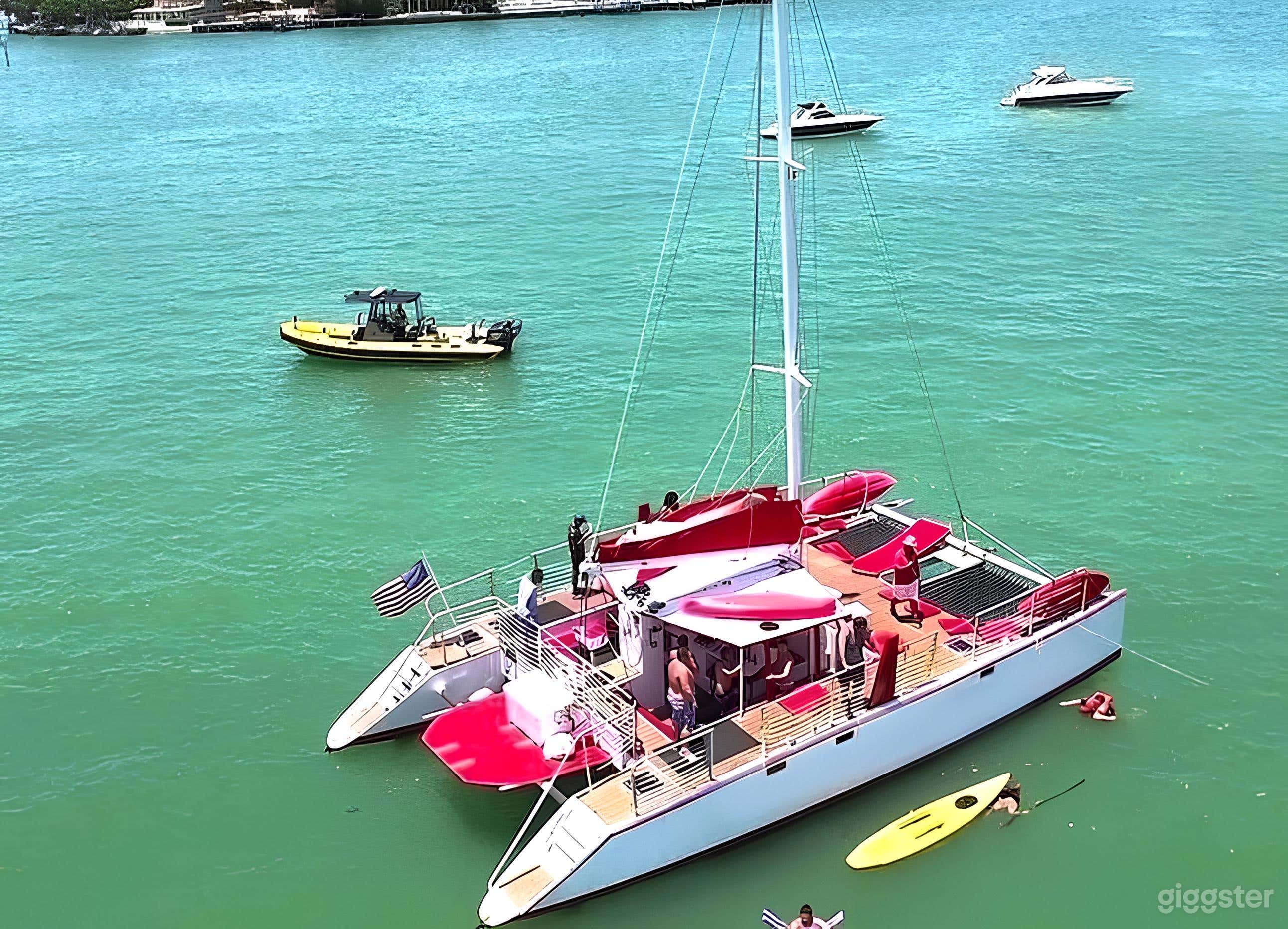 50ft Large Party Cat (Candy Cat) Photo 1