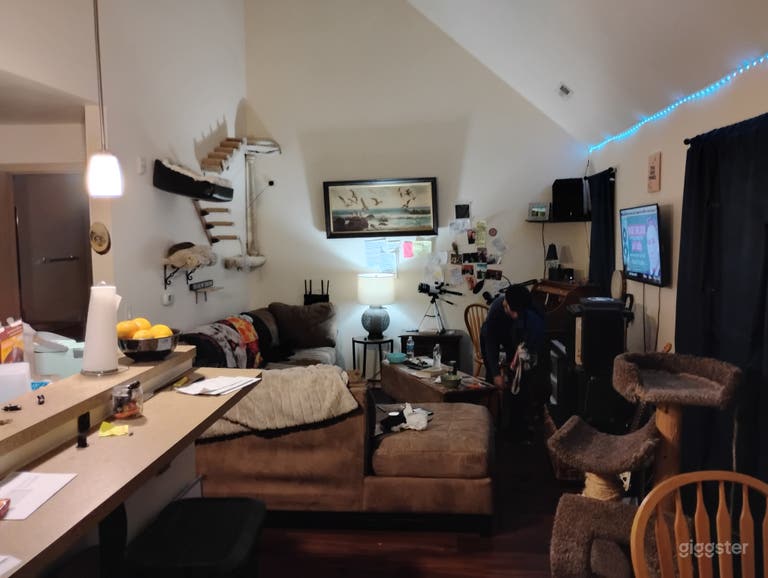  Open Air 2 bathroom loft apartment  