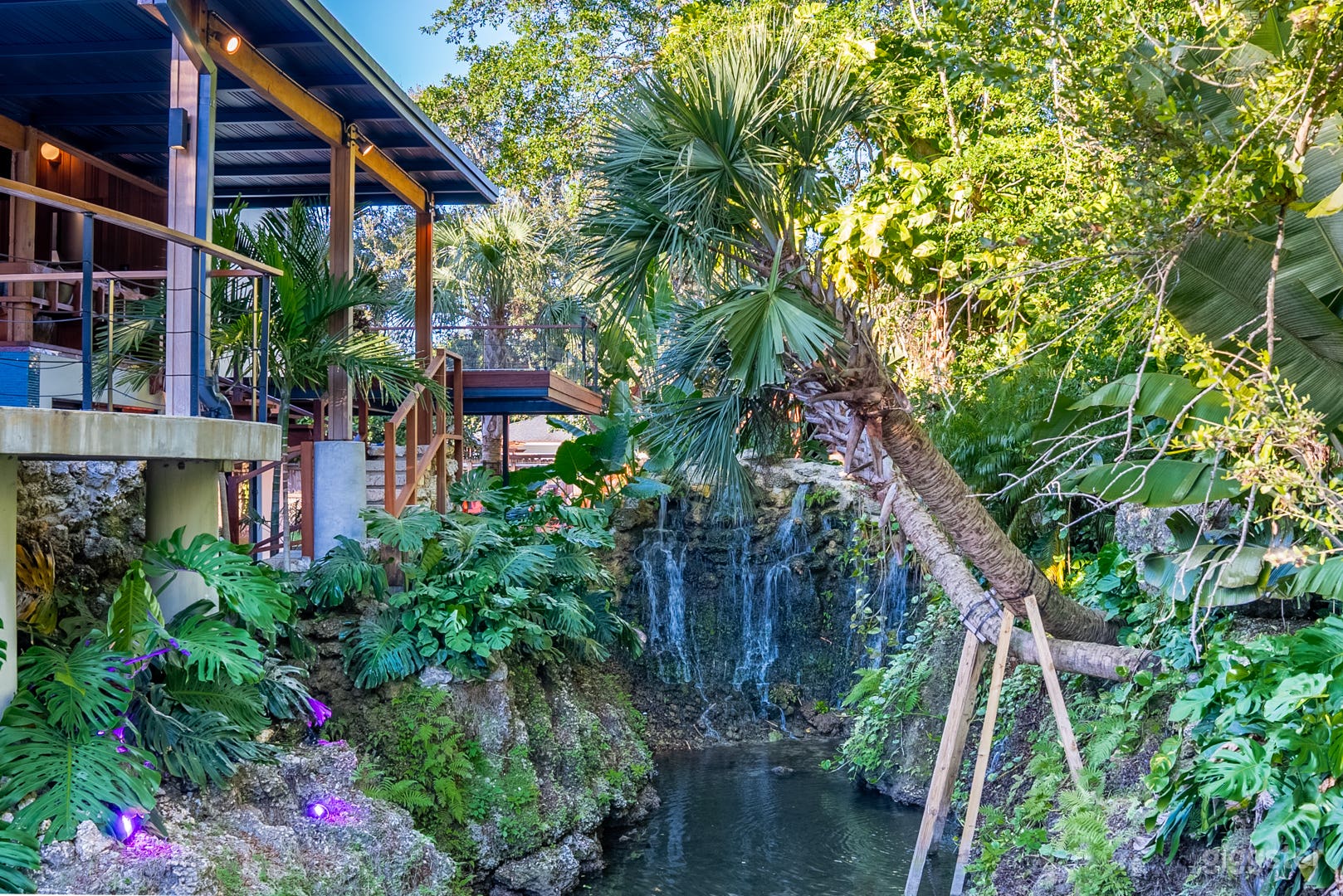 Waterfall/Koi Pond