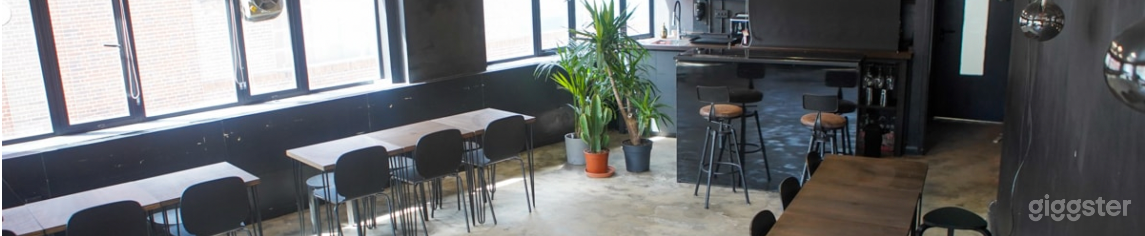 The Black Bar Photo 4