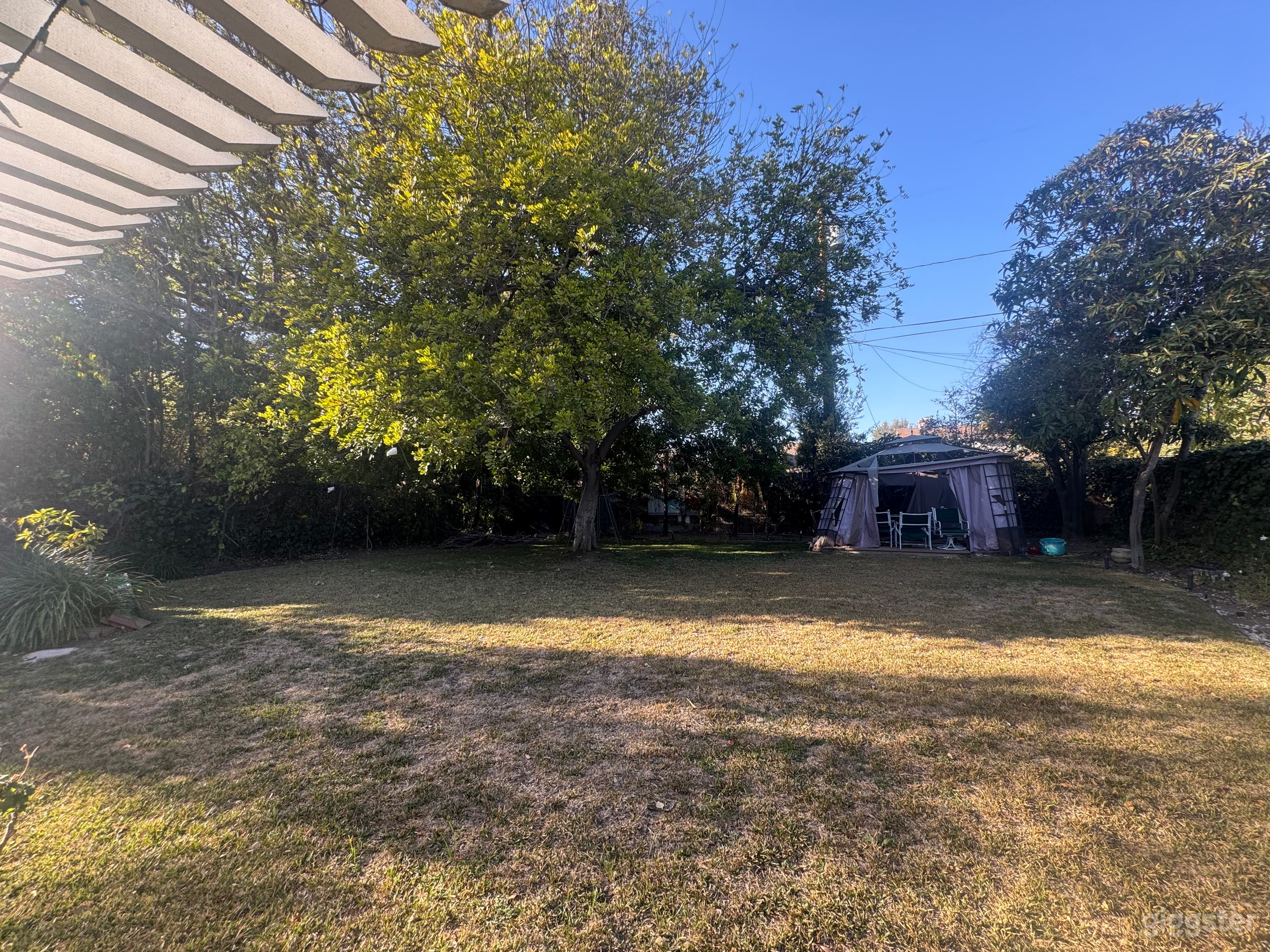 Back yard further back: Greenland 