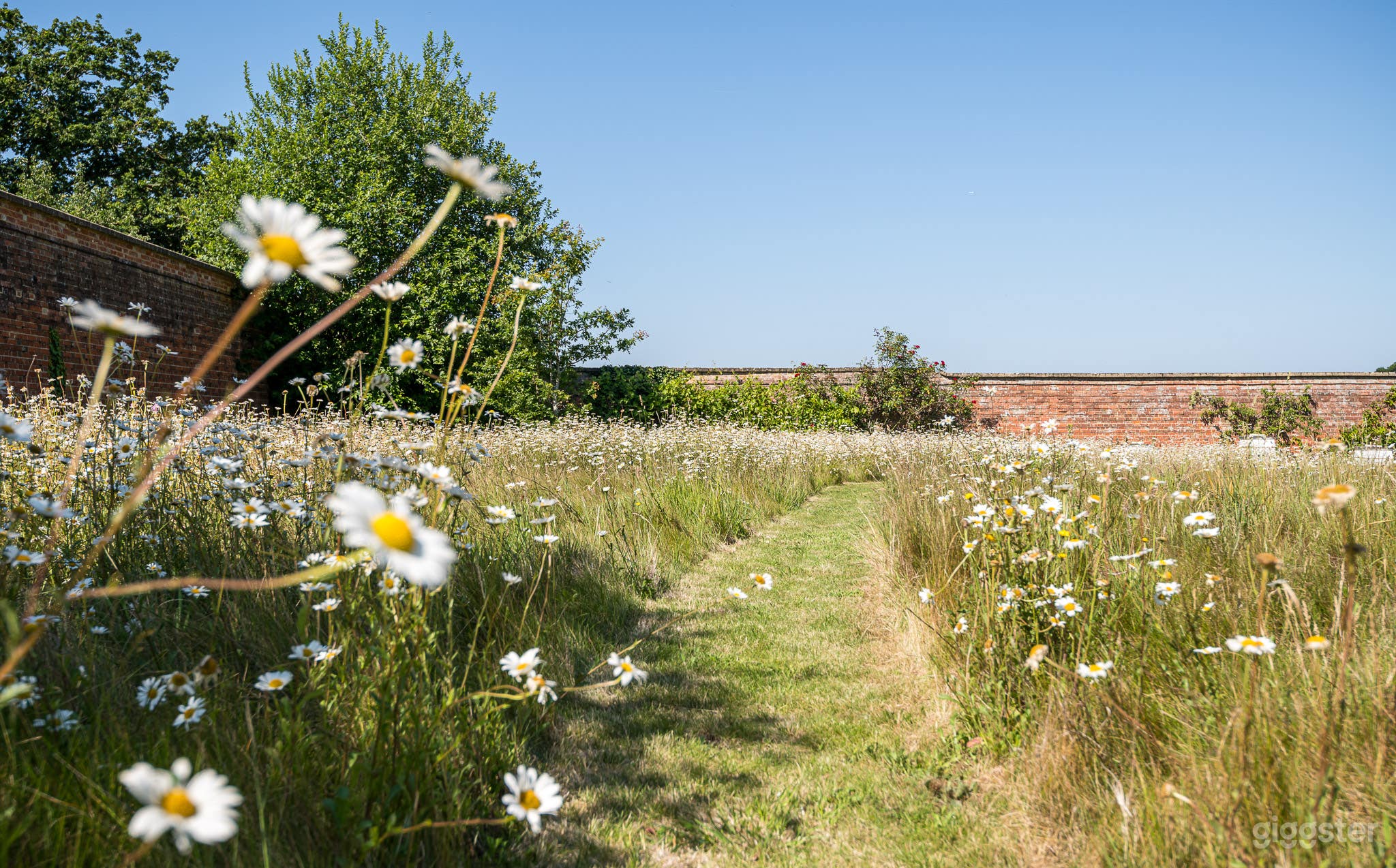 The Walled Garden Photo 4