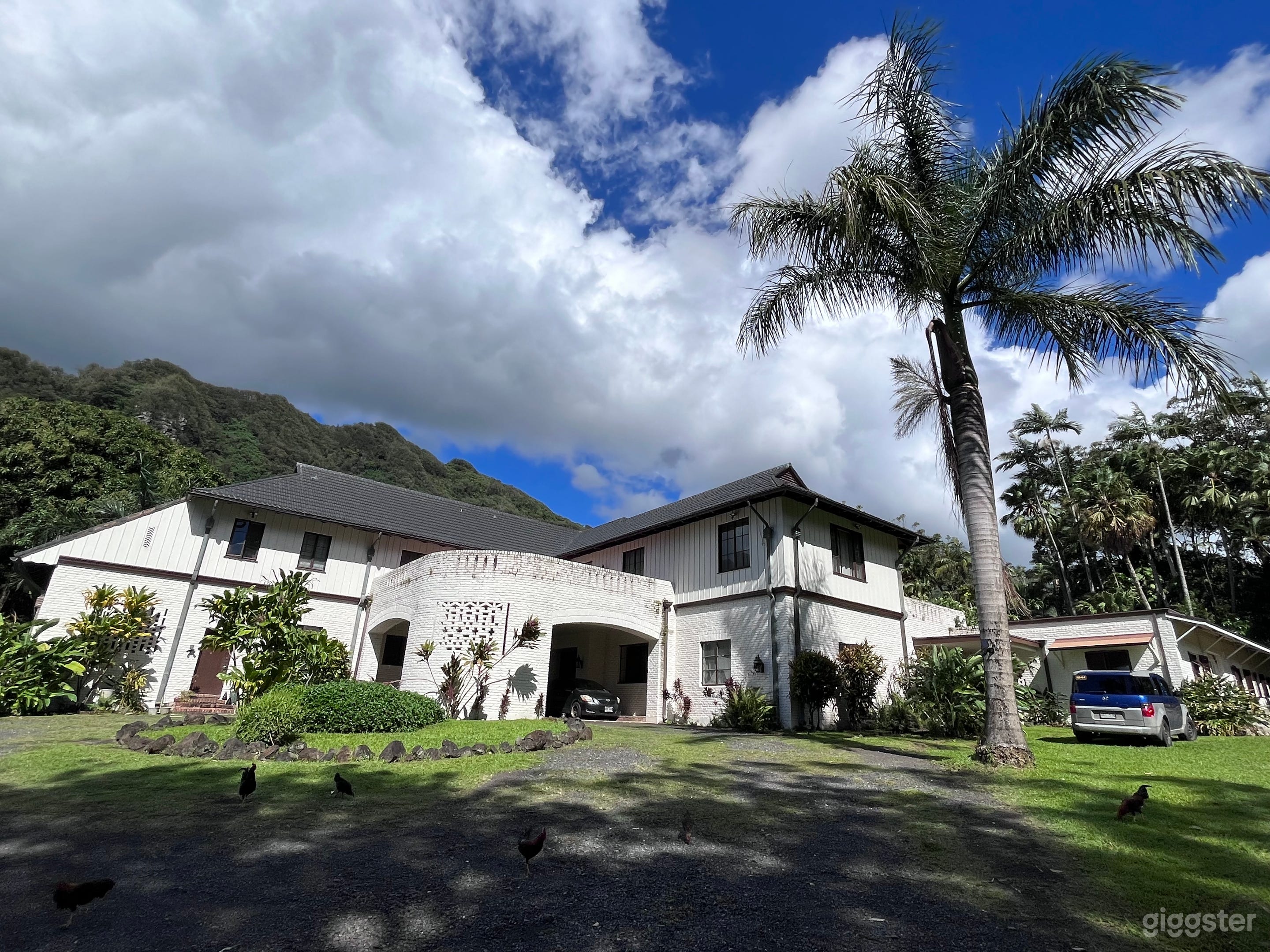 Grand Tropical mansion Photo 1