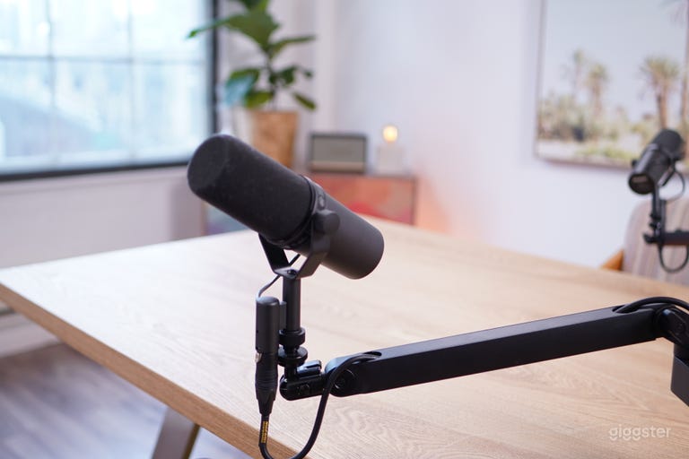  Shure SM7B microphone. 