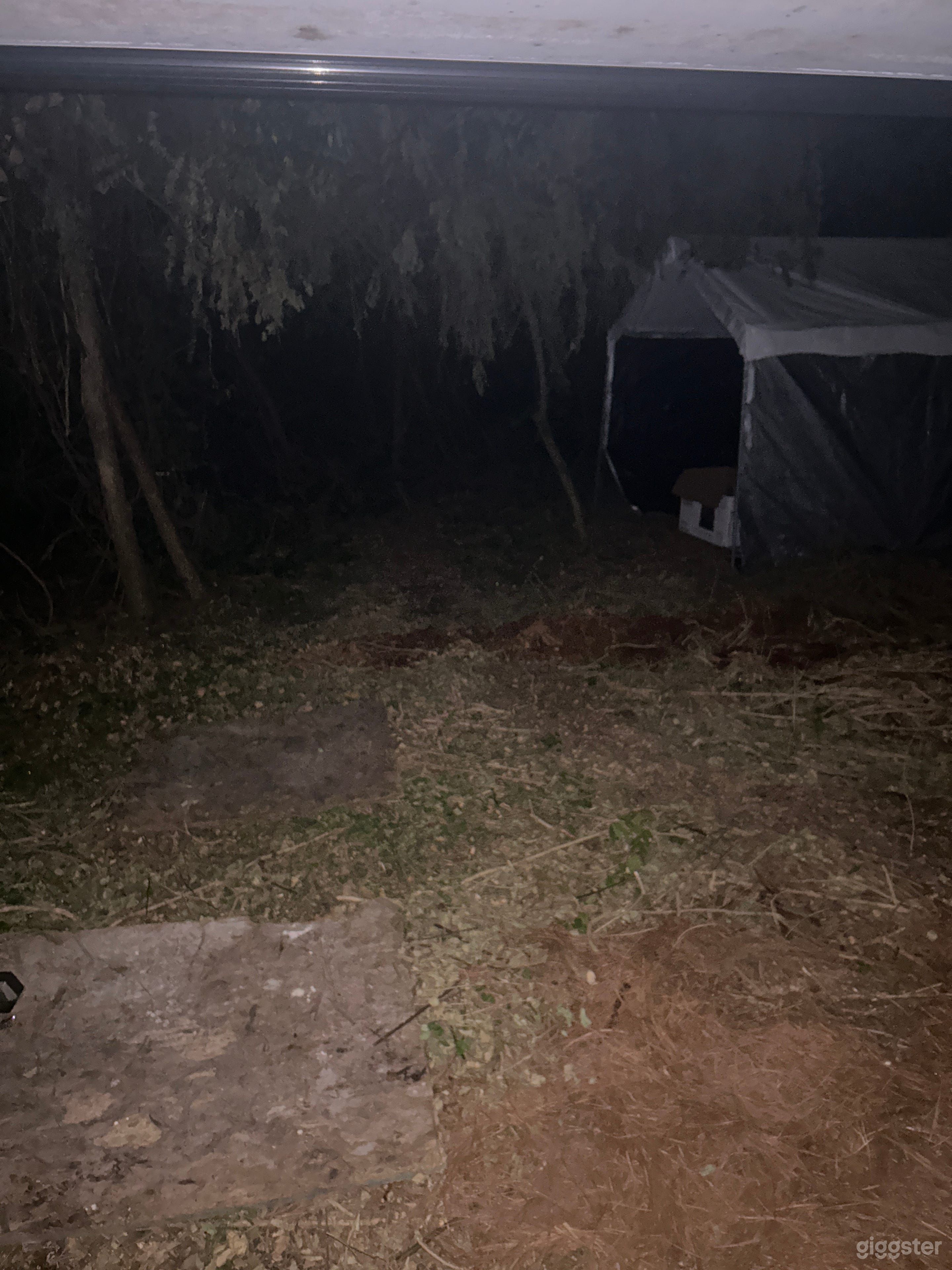  Affordable Outdoor Venue for Informal Gatherings &amp; Film Productions – Jungle Setup Photo 3