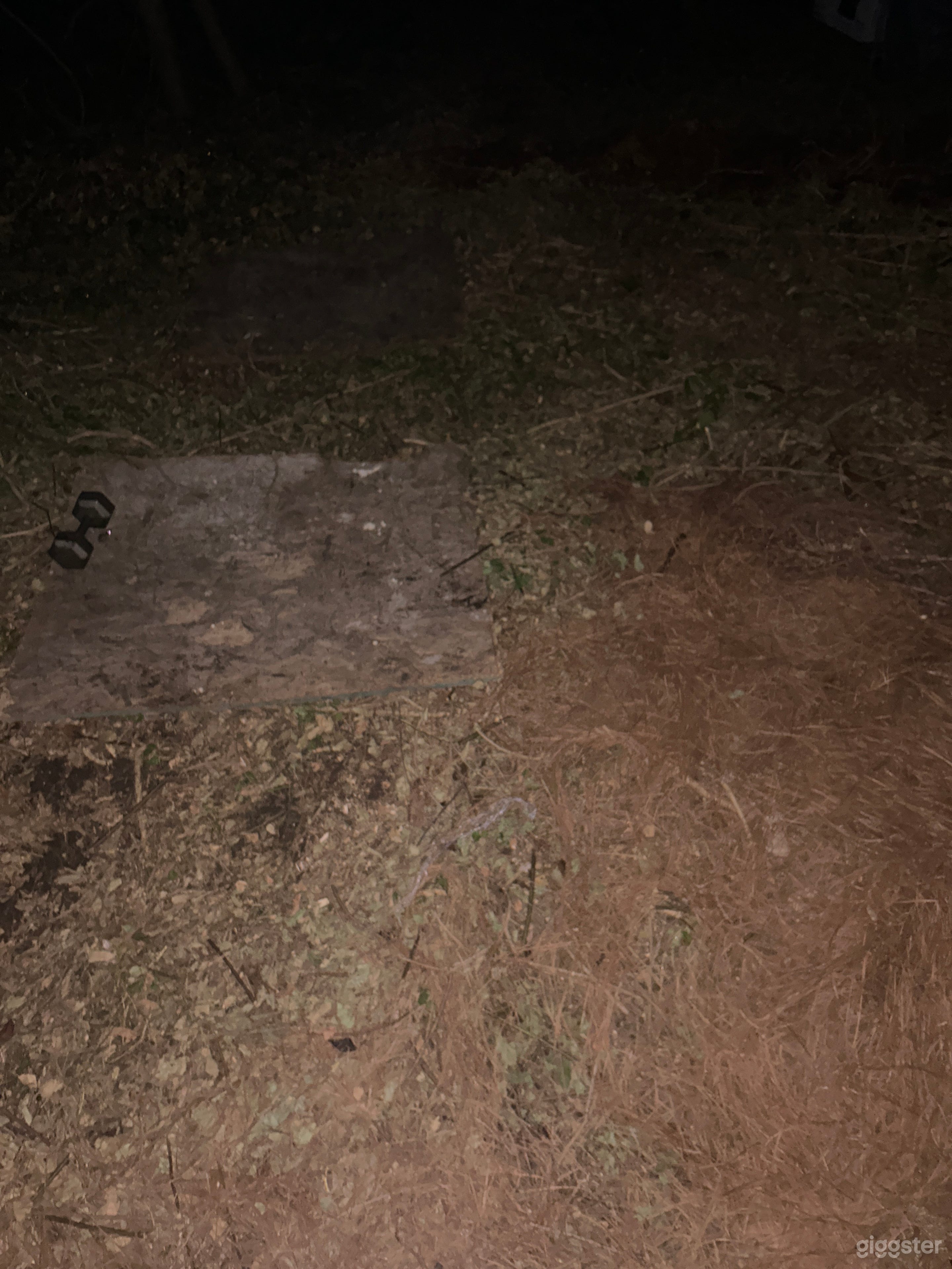  Affordable Outdoor Venue for Informal Gatherings &amp; Film Productions – Jungle Setup Photo 2