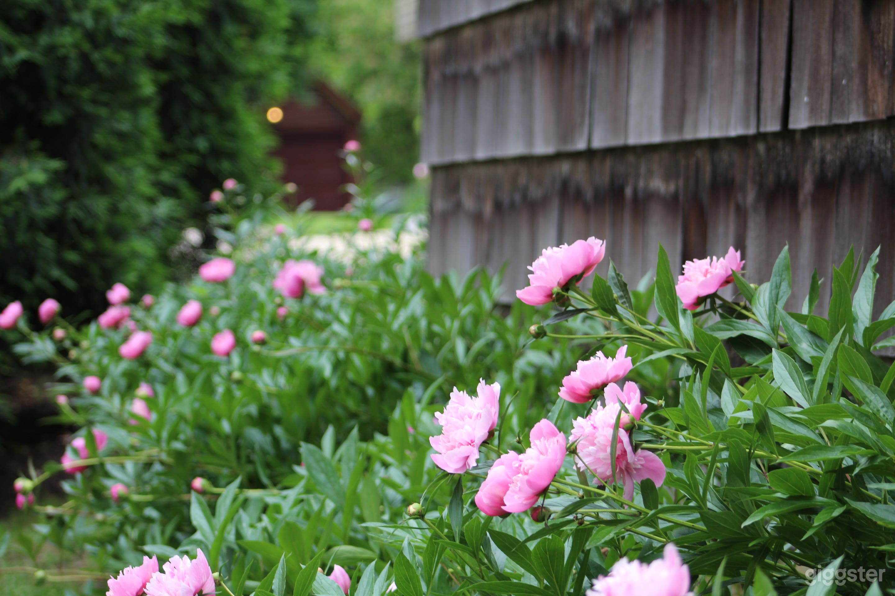 Cape Cod w/cedar shingle on a cobblestone str.  Photo 1