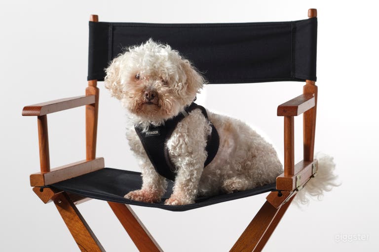  San Antonio Video & Photography Studio (Southtown) 