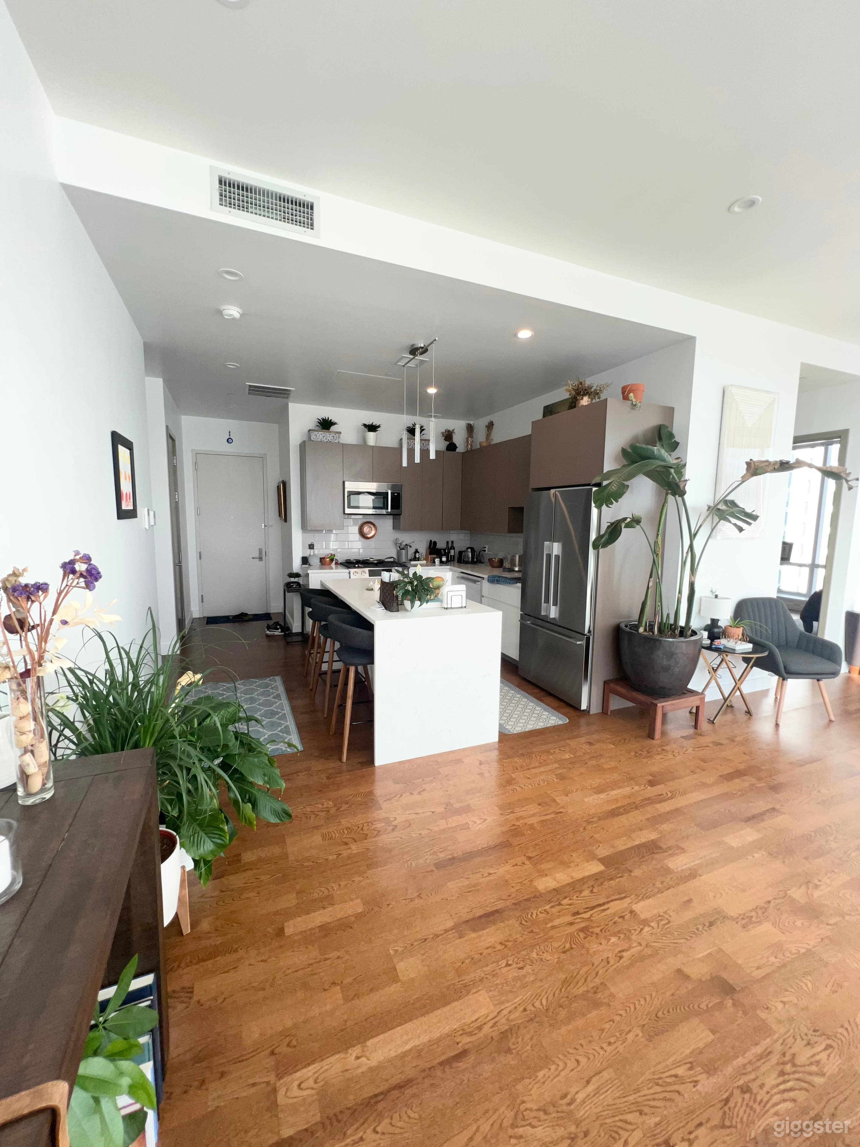 Long Island city large penthouse with City Views Photo 4