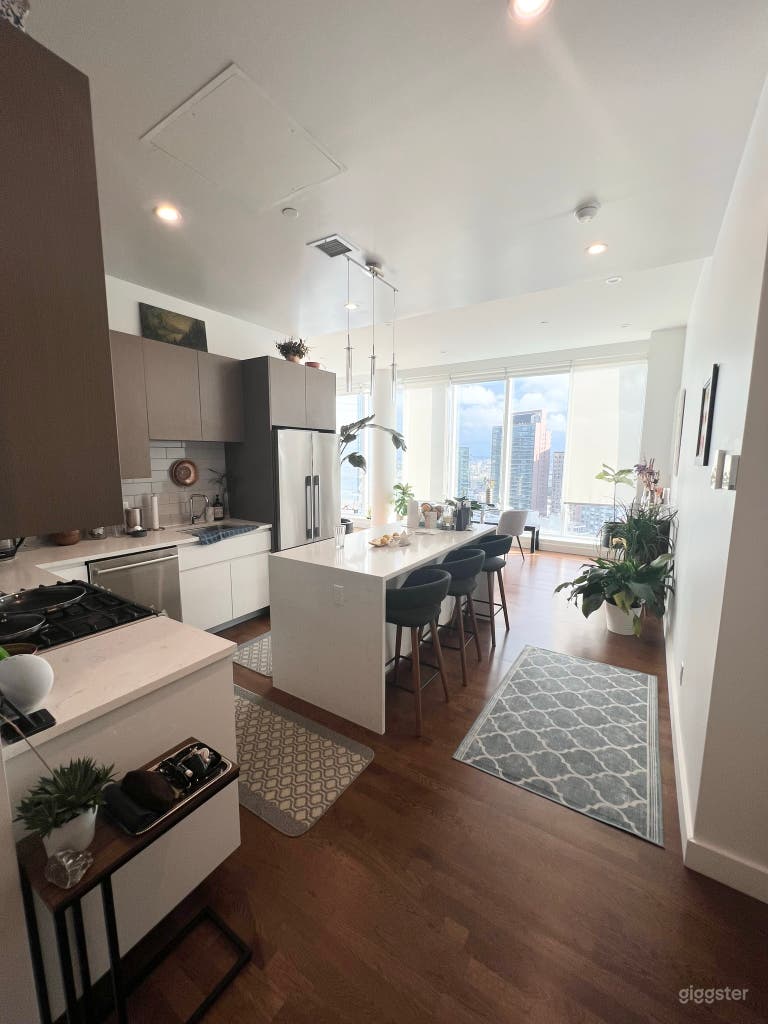  Long Island city large penthouse with City Views 