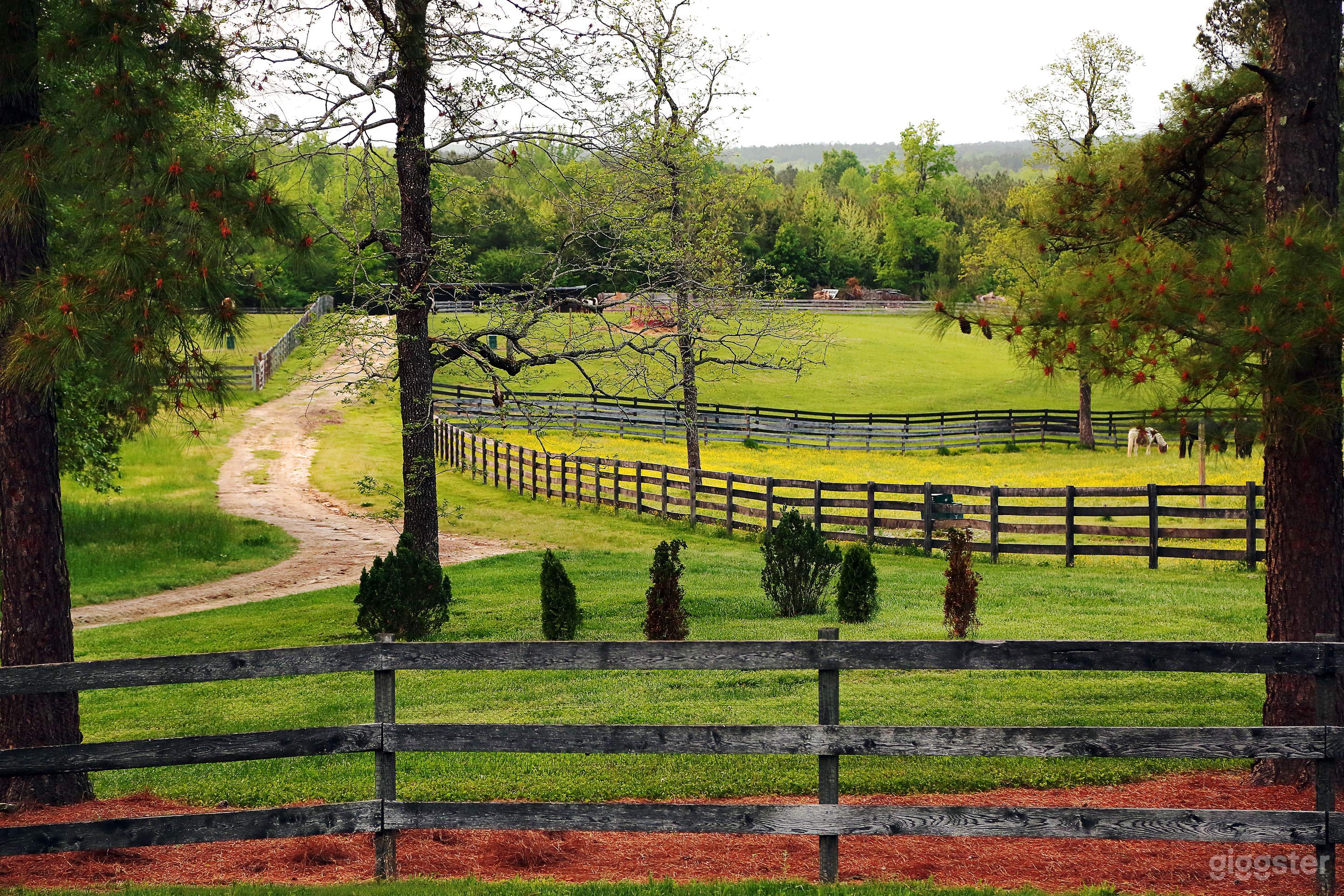 Southern Historical Estate Photo 1