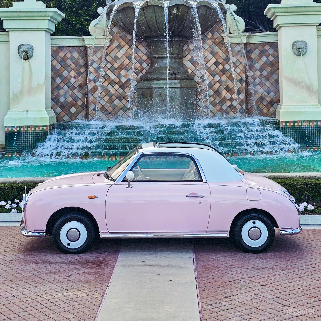 Rare Unique Pink Figaro for Photos and Events Photo 1
