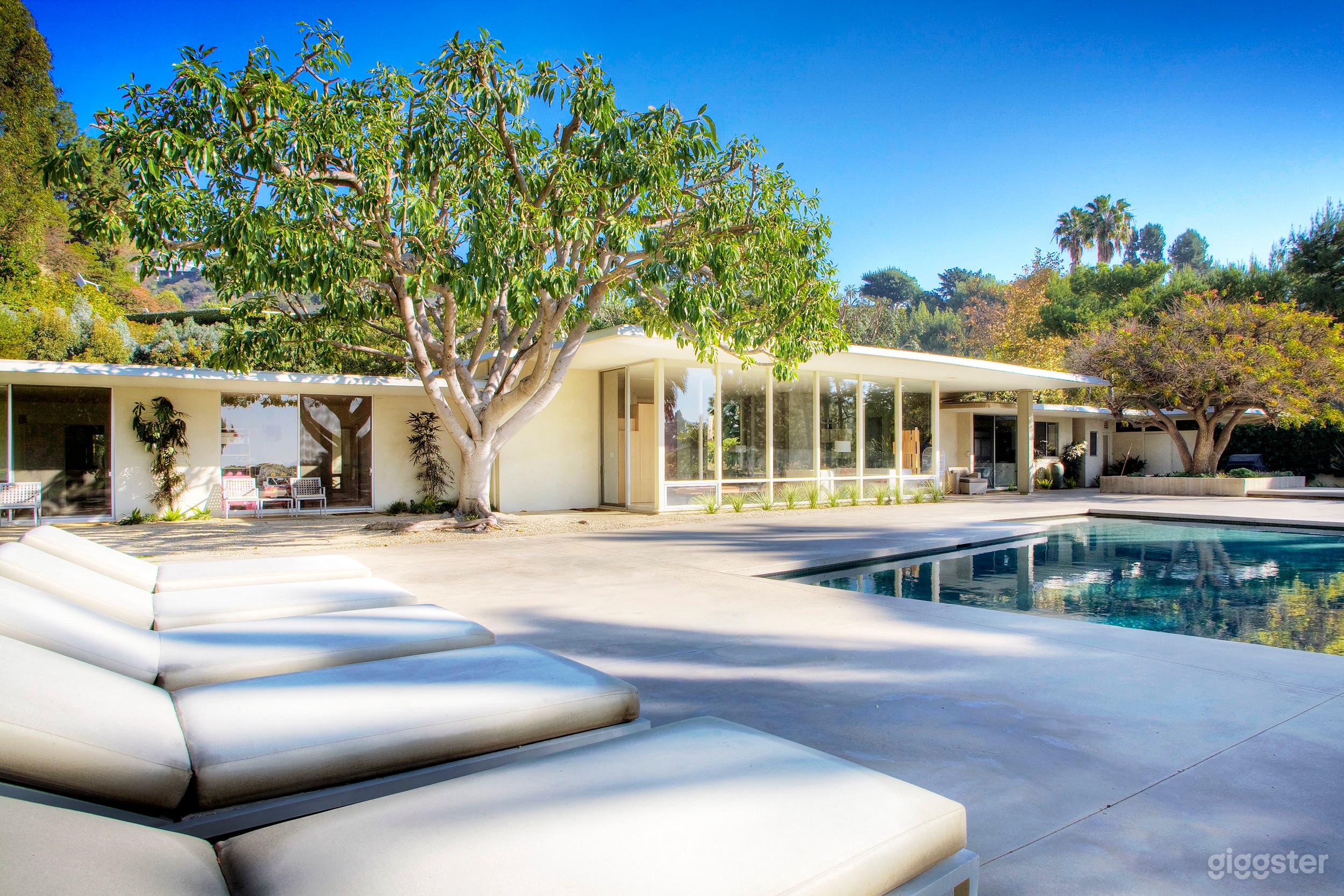 Simon's 1956 Photo 4